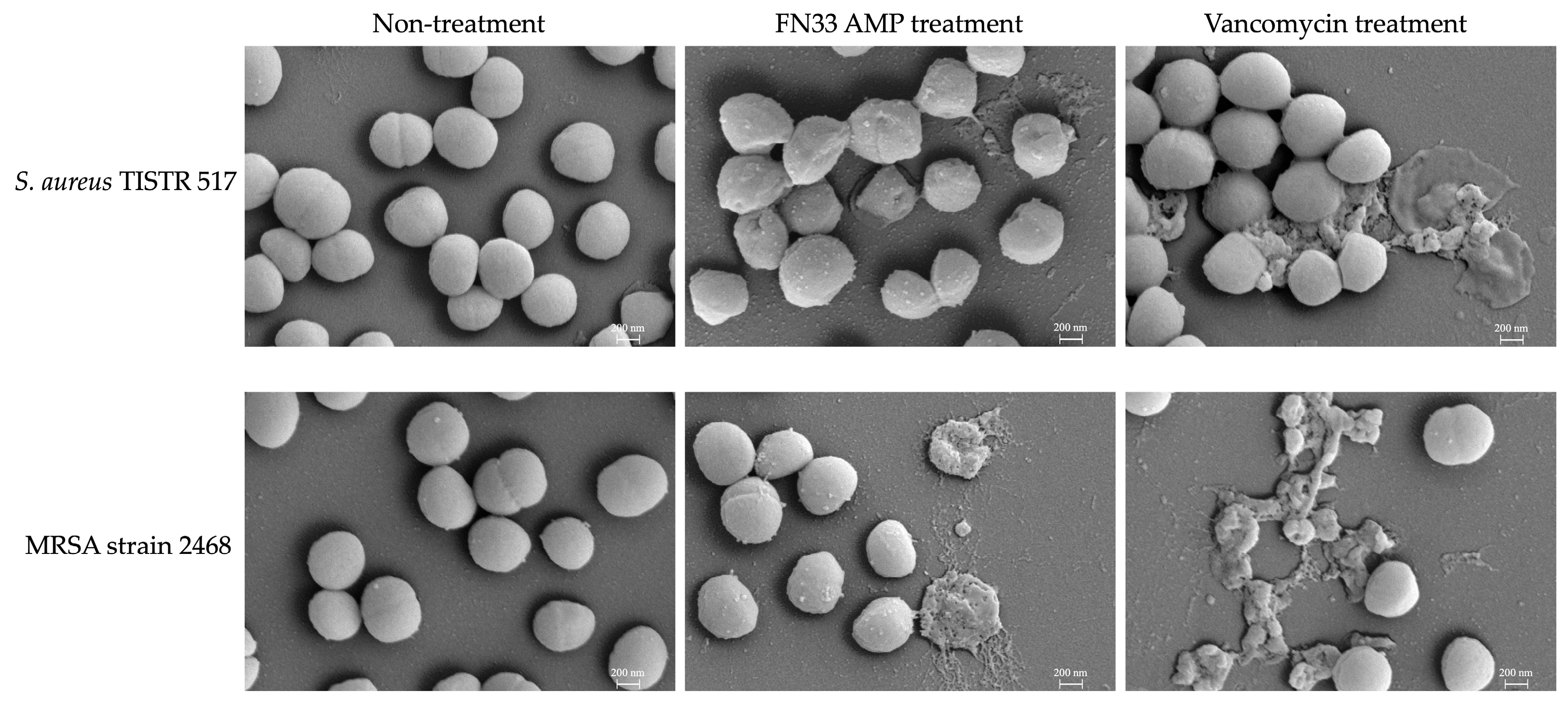 Marinedrugs 23 00209 g005 Marinedrugs 23 00209 g005