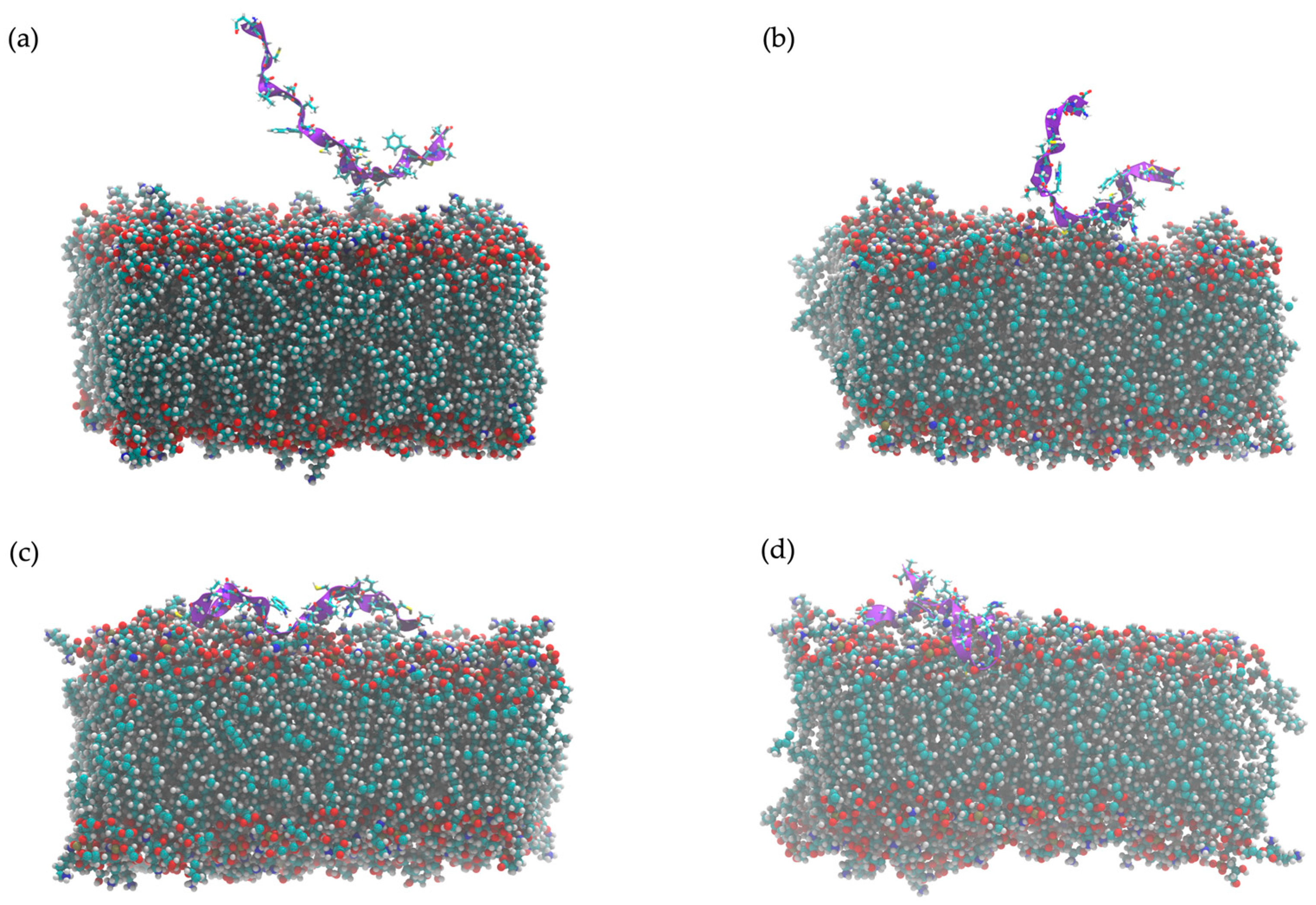 Marinedrugs 23 00209 g009 Marinedrugs 23 00209 g009