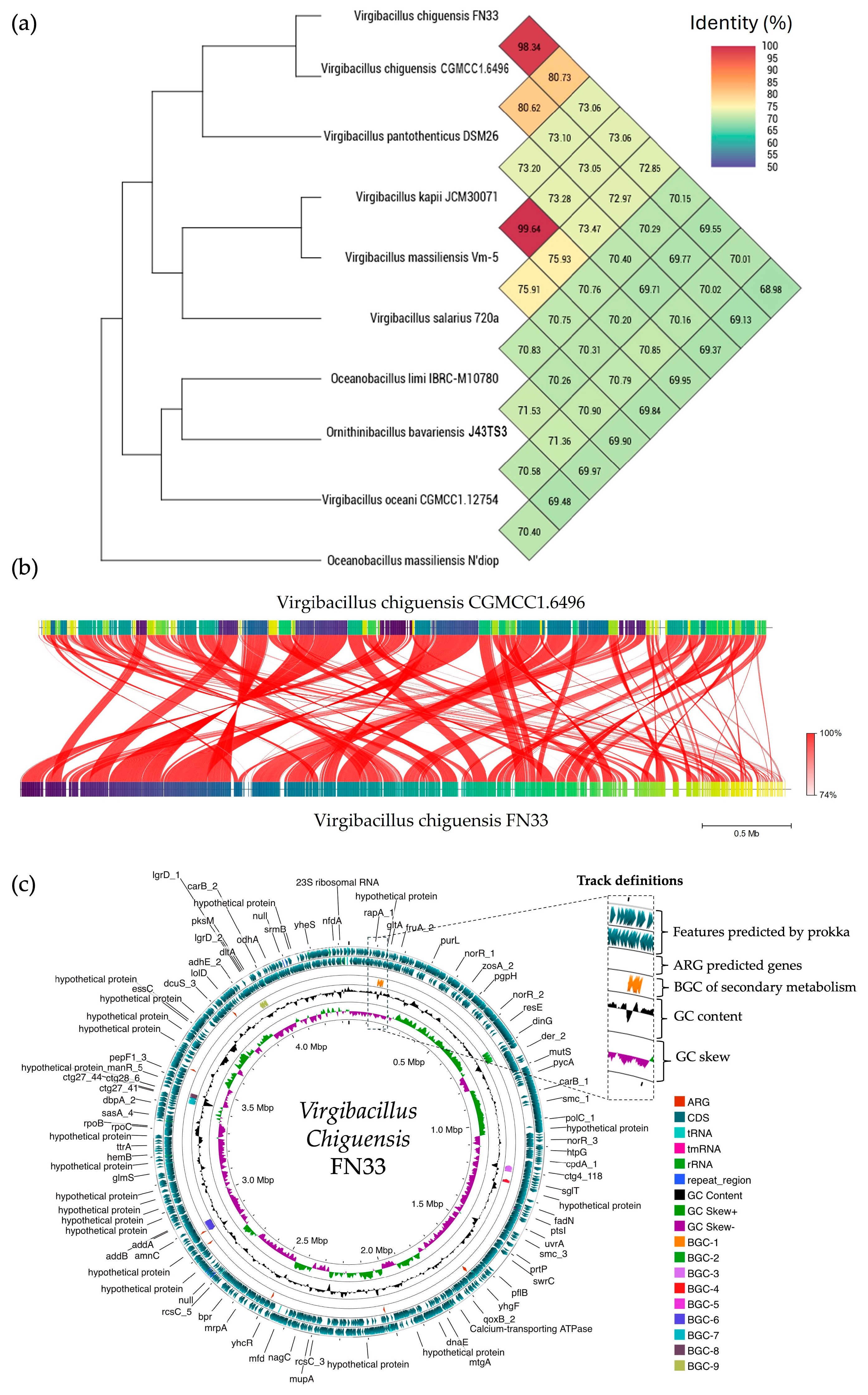 Marinedrugs 23 00209 g012 Marinedrugs 23 00209 g012