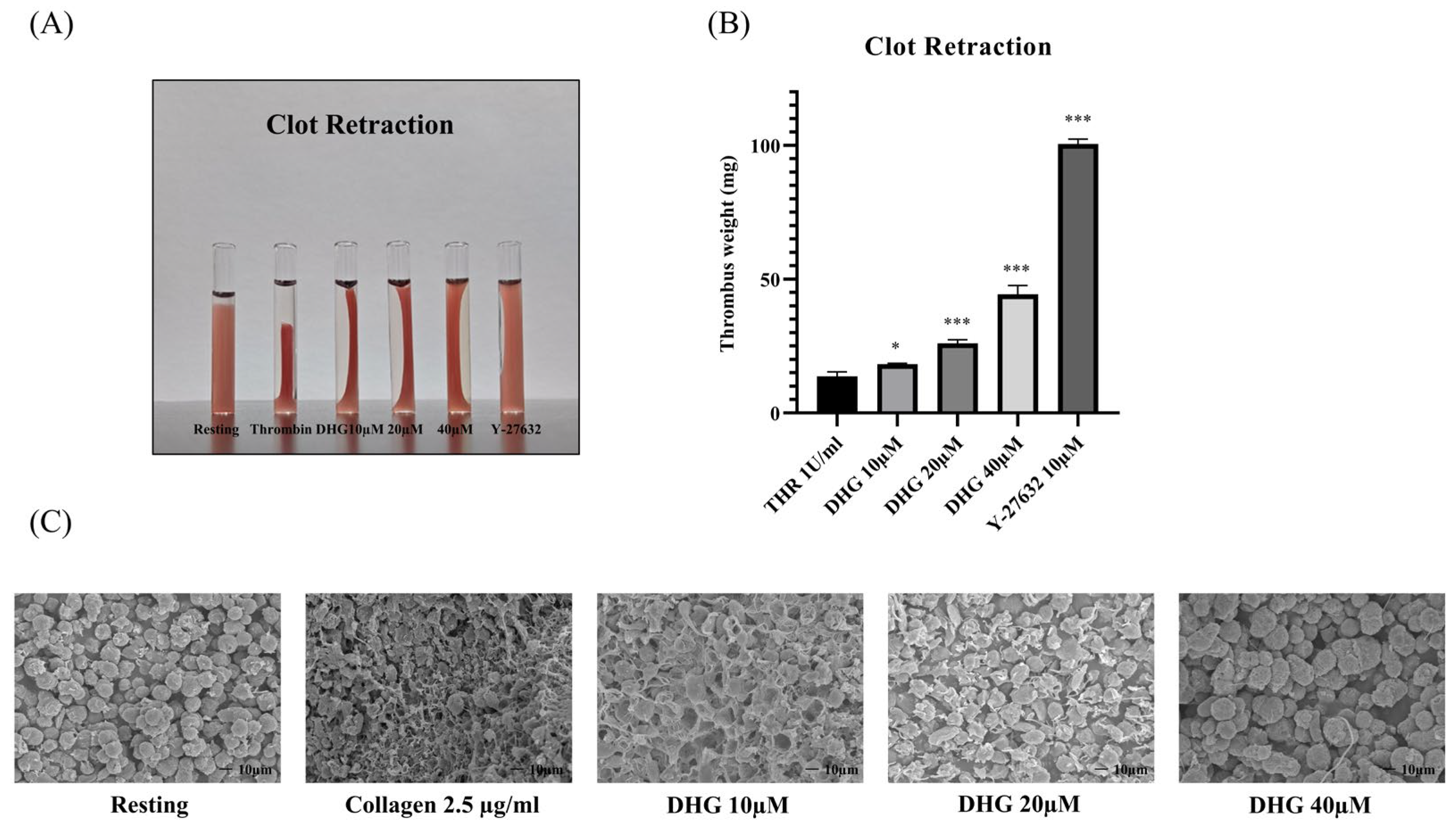 Marinedrugs 23 00212 g004