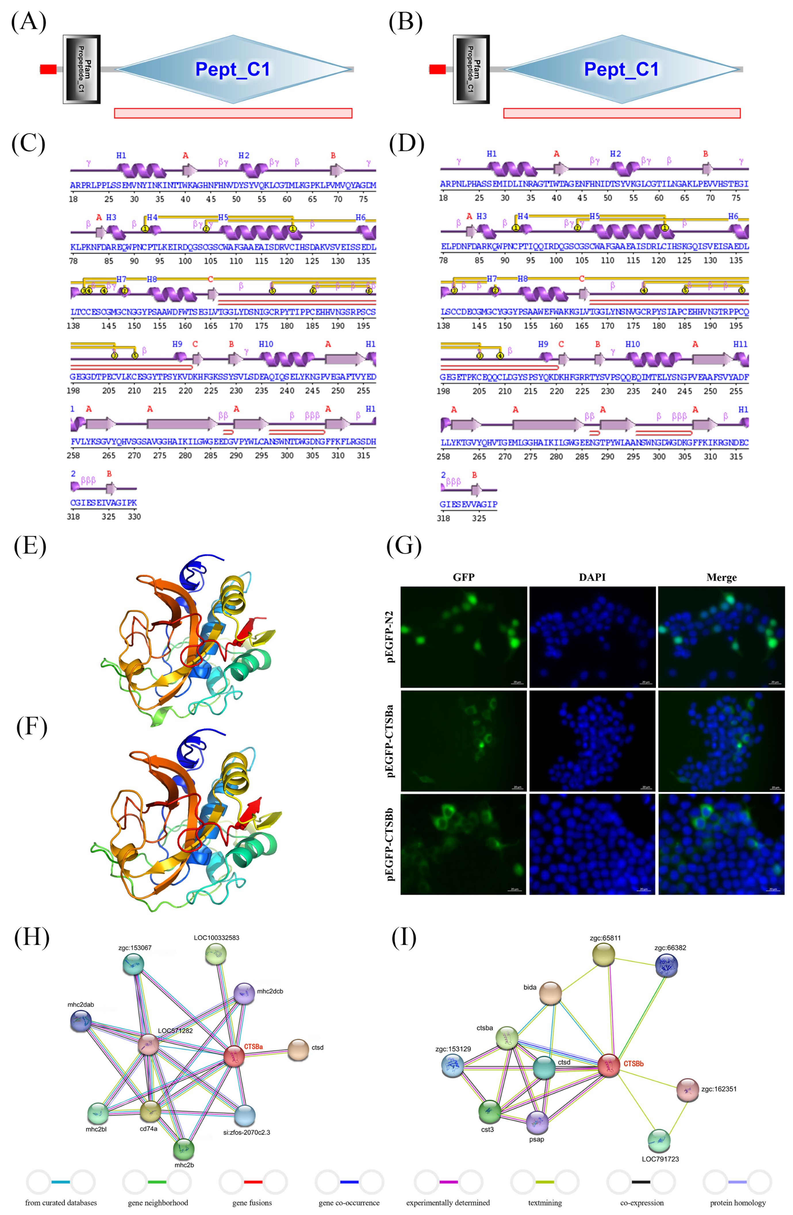 Marinedrugs 23 00213 g001
