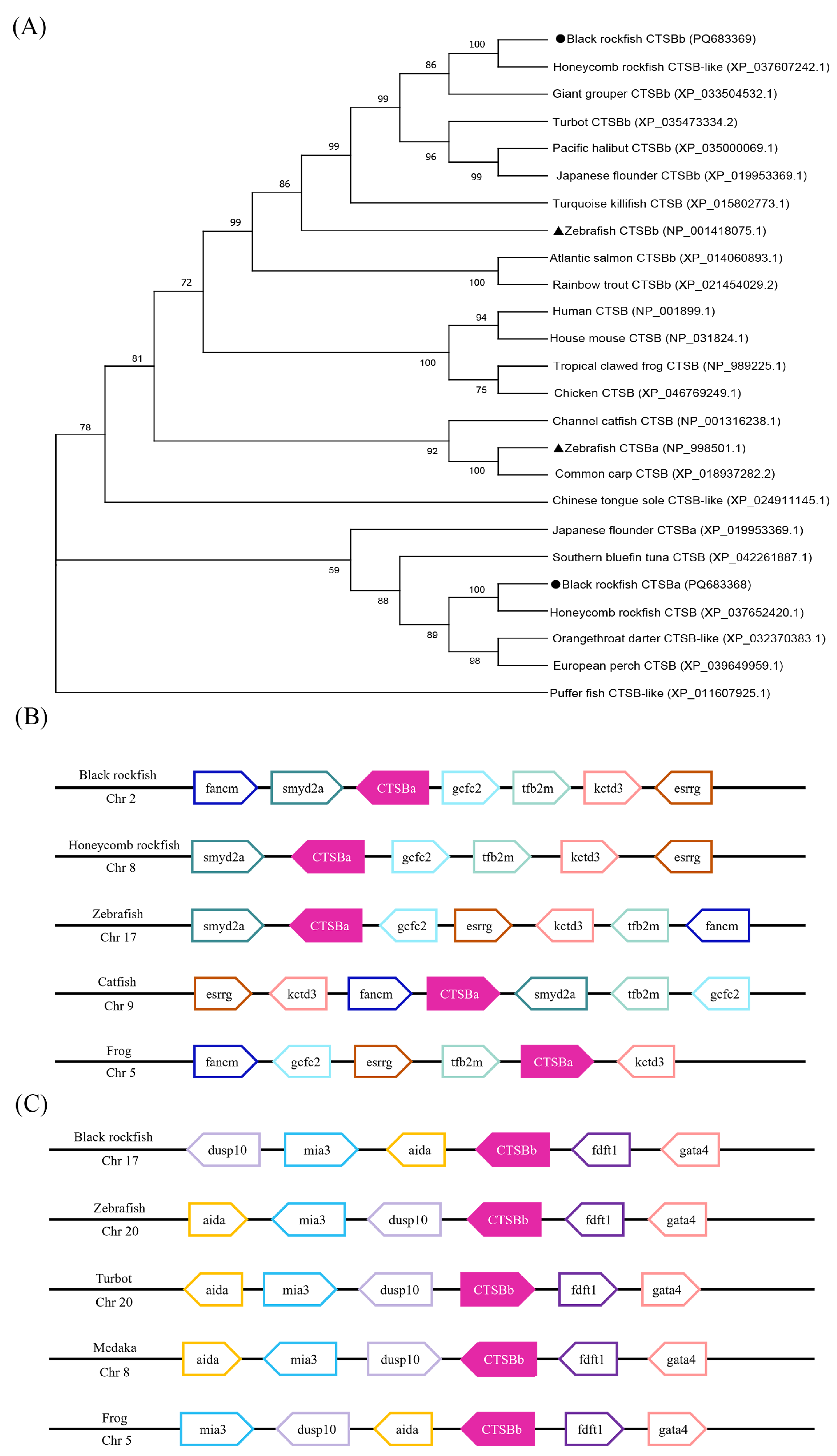 Marinedrugs 23 00213 g002