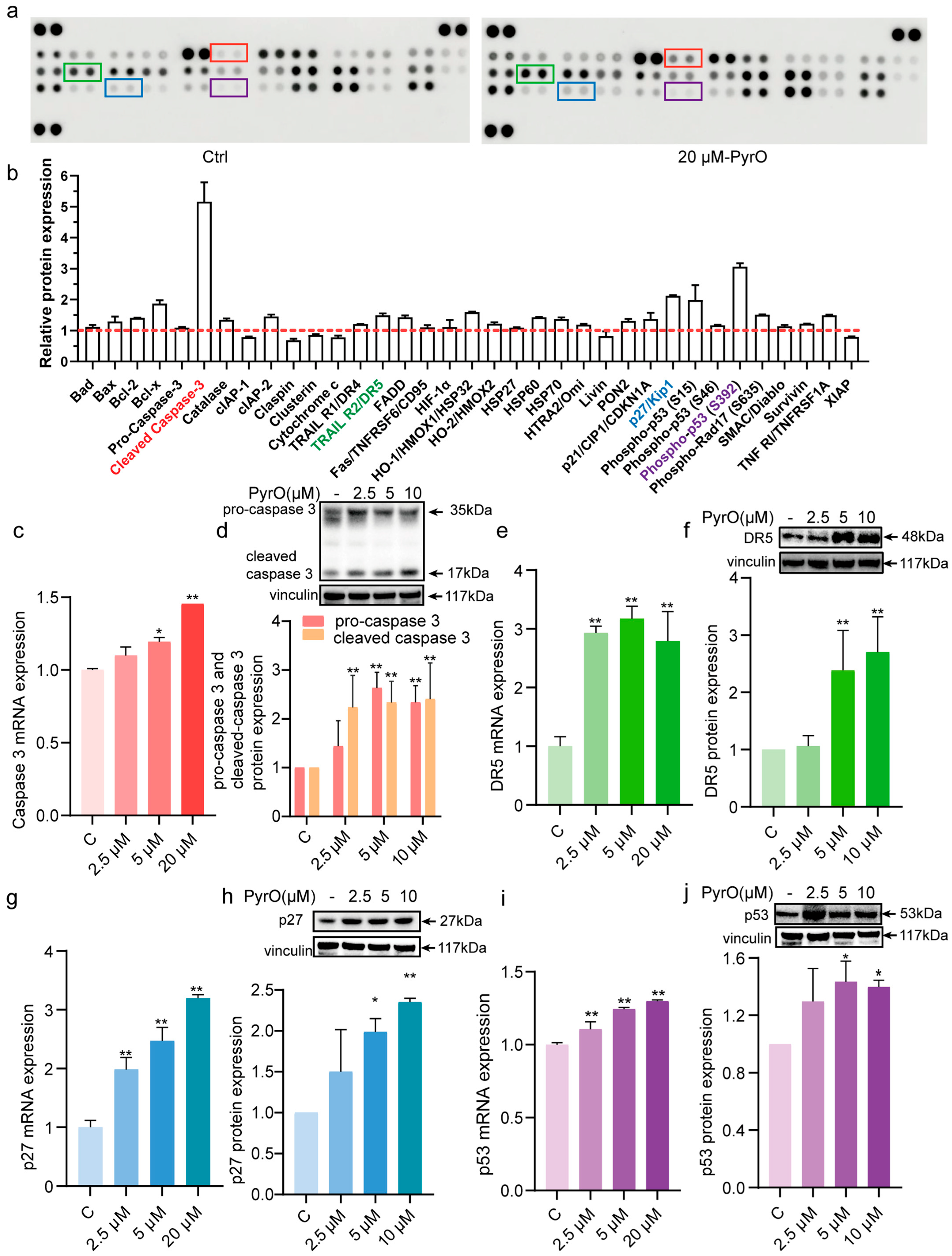 Marinedrugs 23 00214 g003