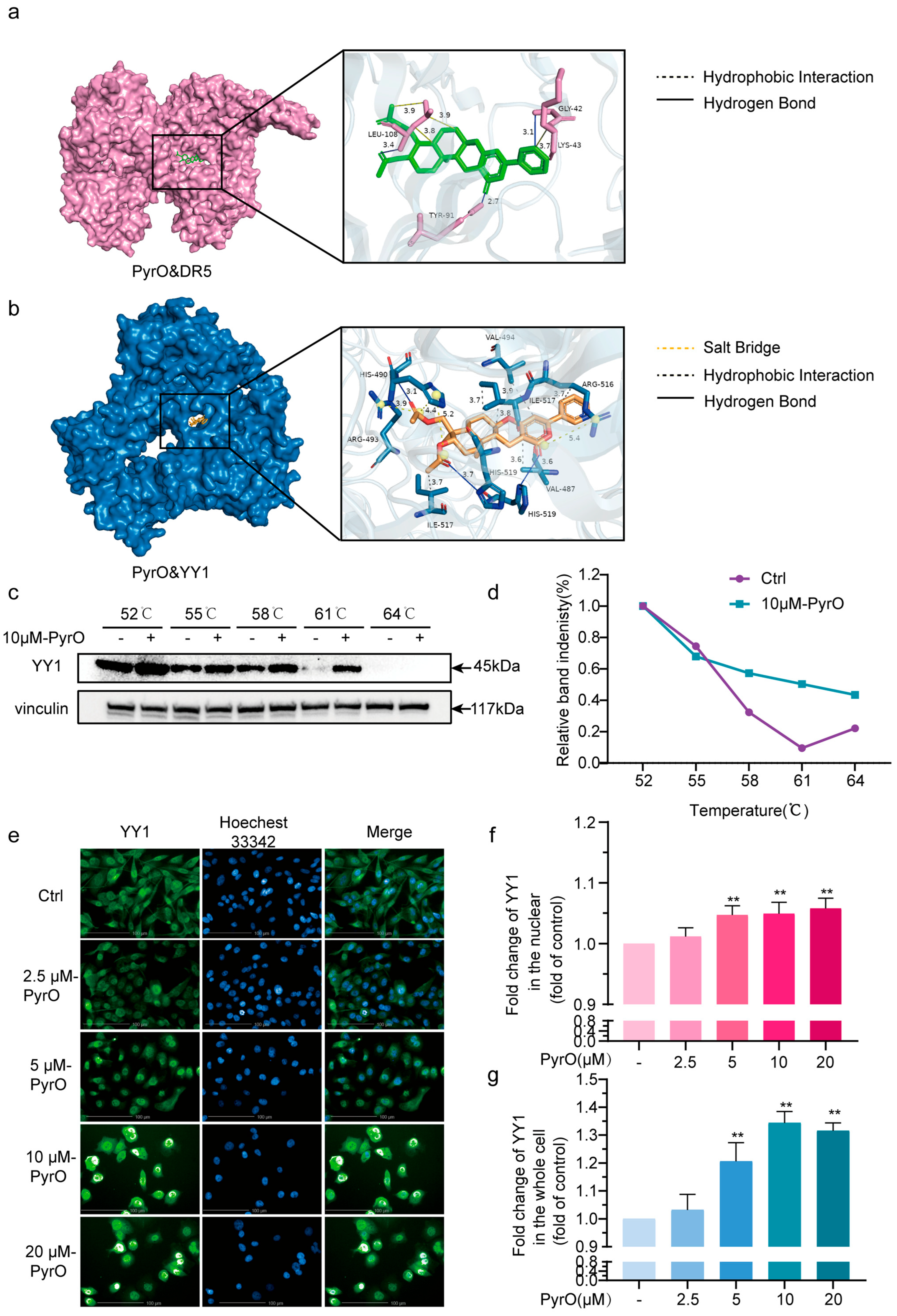 Marinedrugs 23 00214 g004