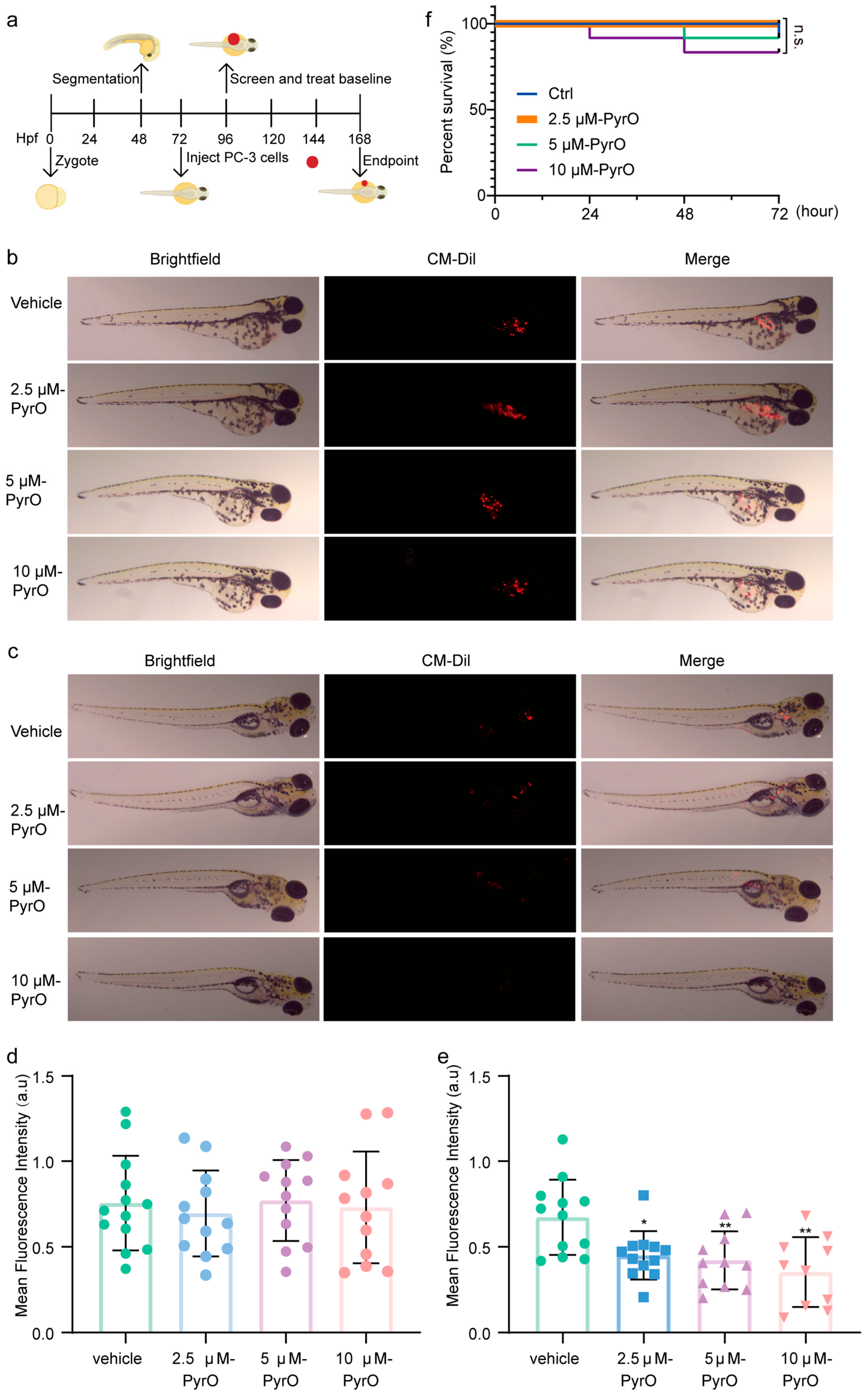 Marinedrugs 23 00214 g005