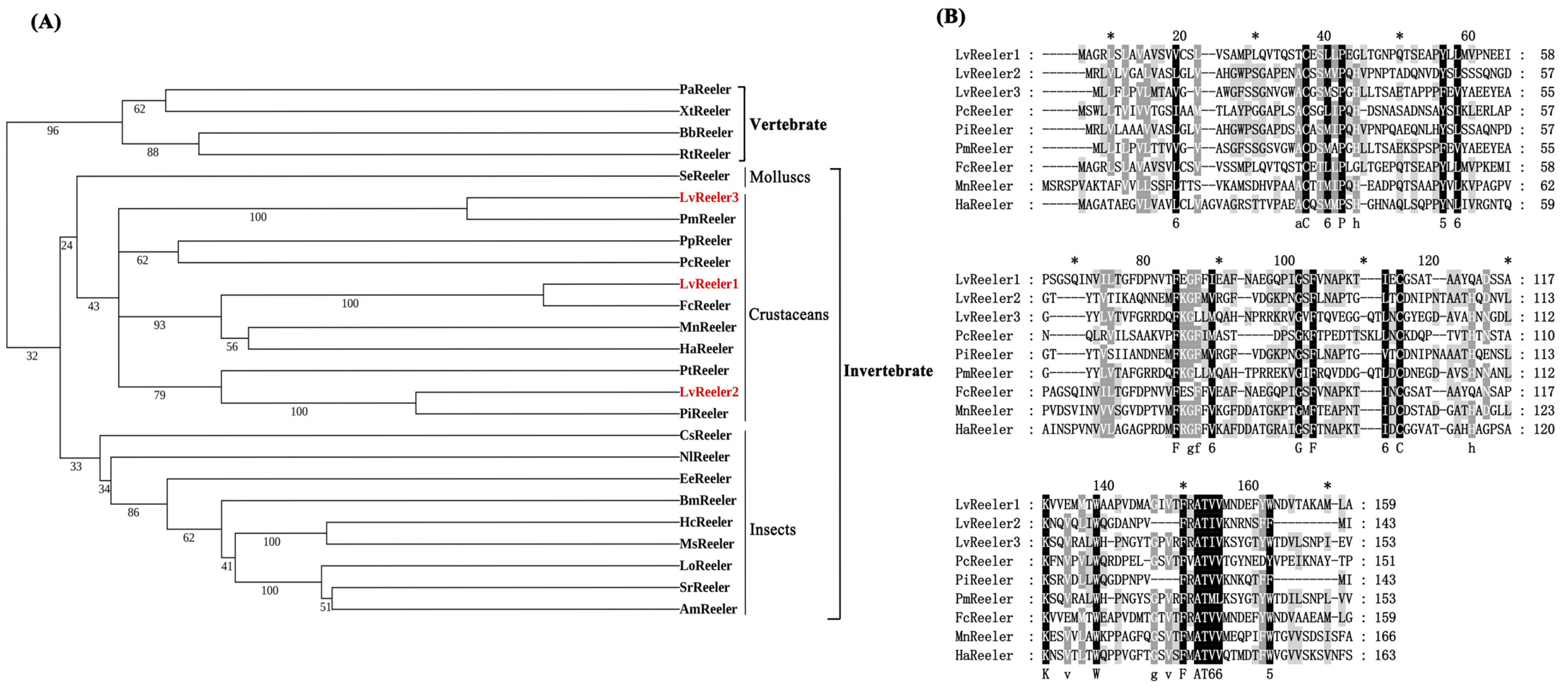 Marinedrugs 23 00215 g001