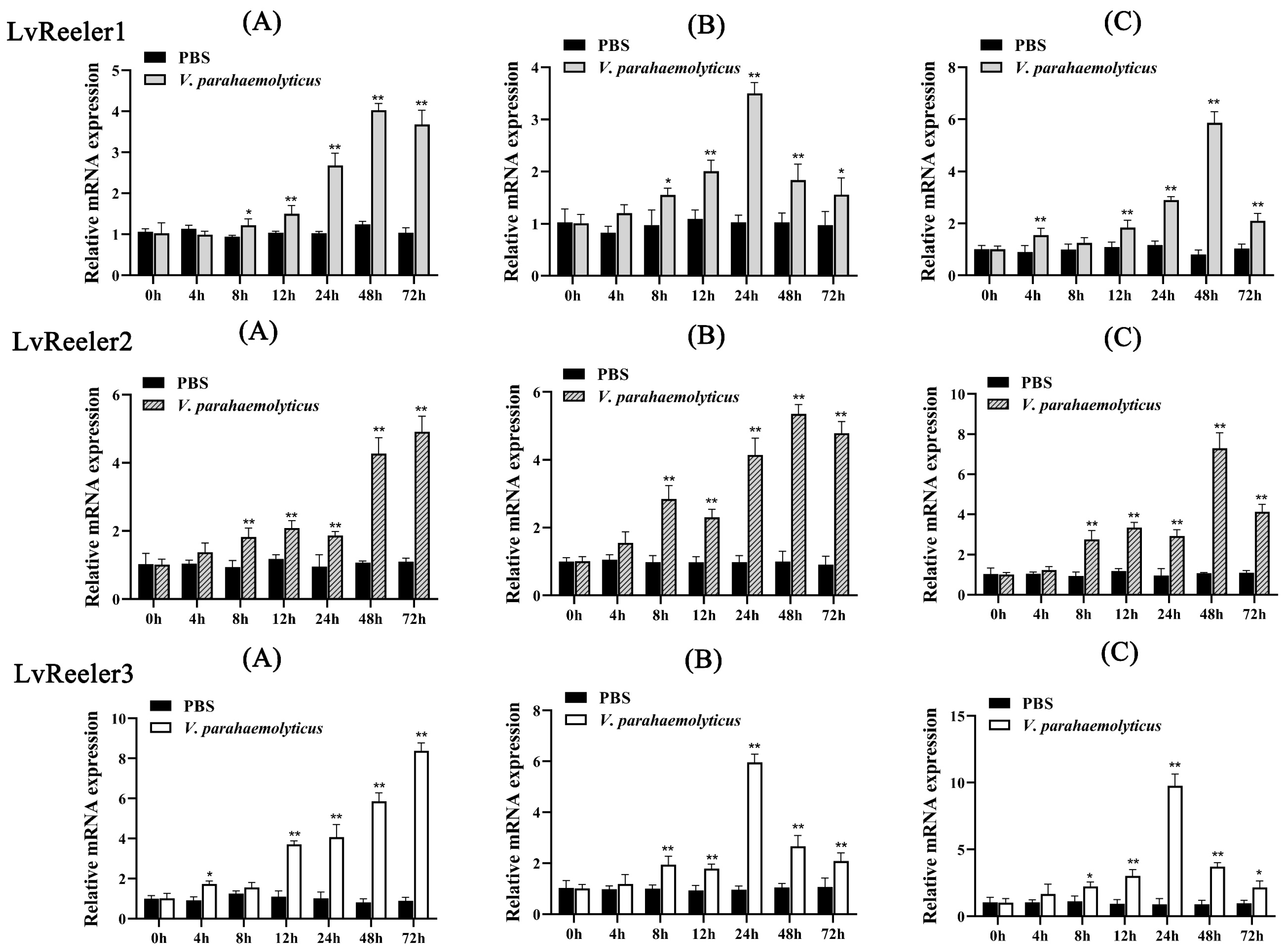 Marinedrugs 23 00215 g003