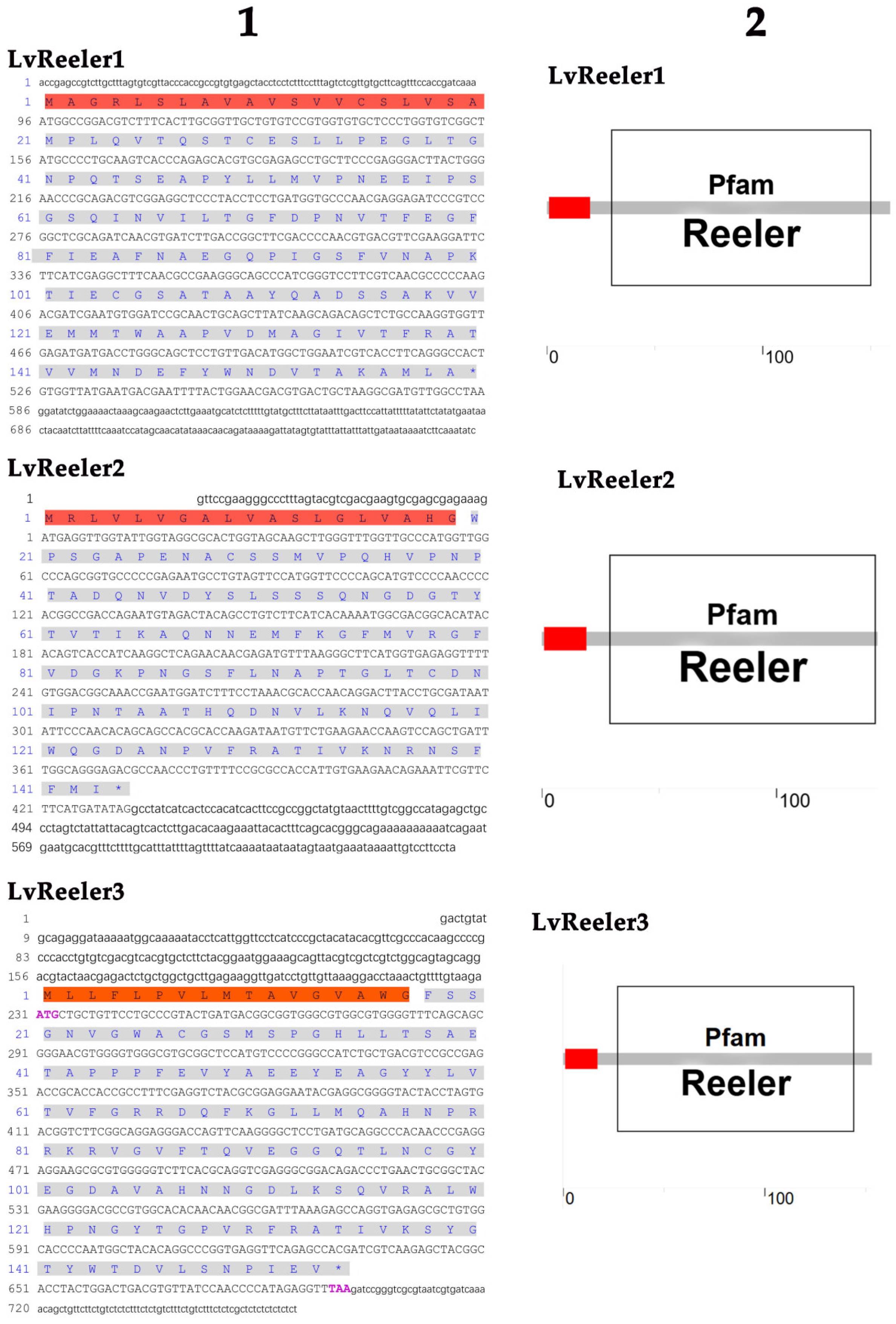 Marinedrugs 23 00215 g0a1