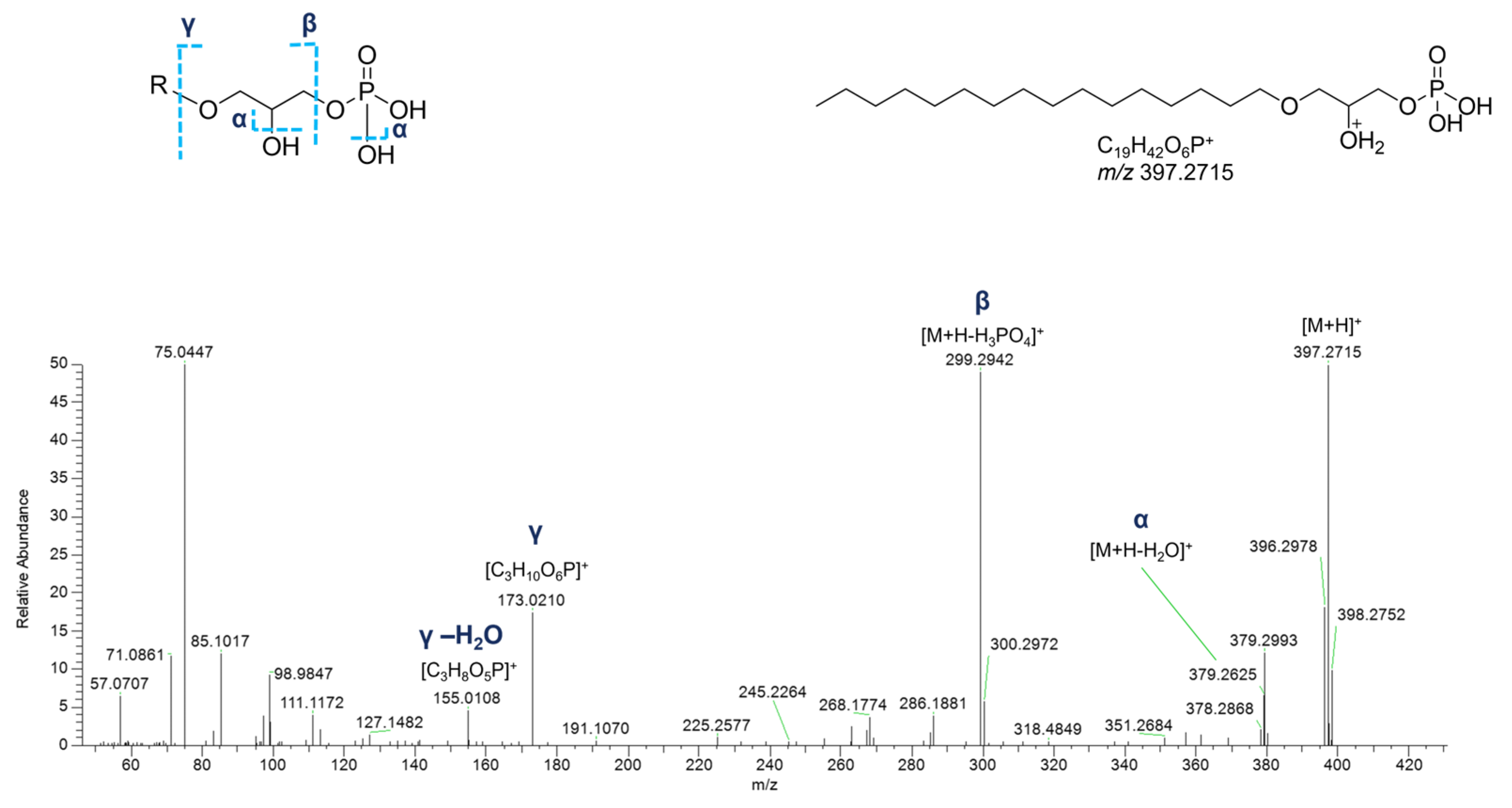 Marinedrugs 23 00218 g012