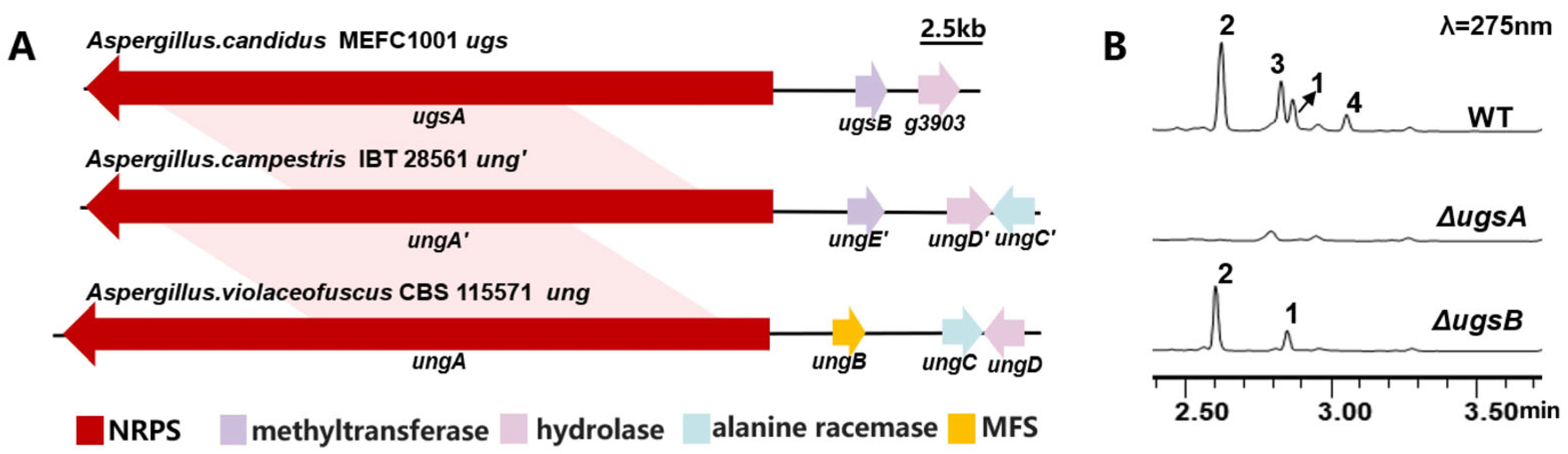 Marinedrugs 23 00219 g002