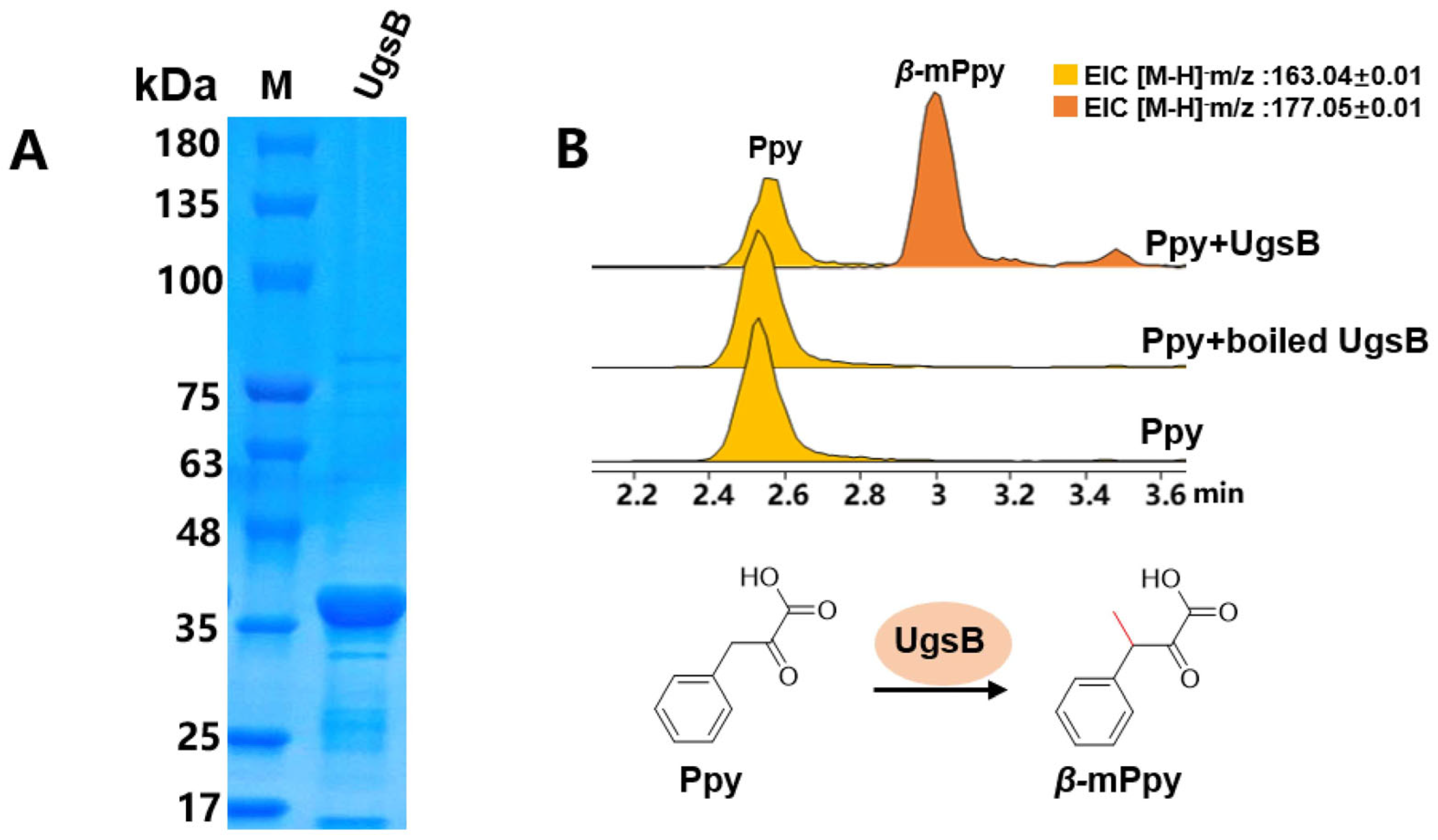 Marinedrugs 23 00219 g003