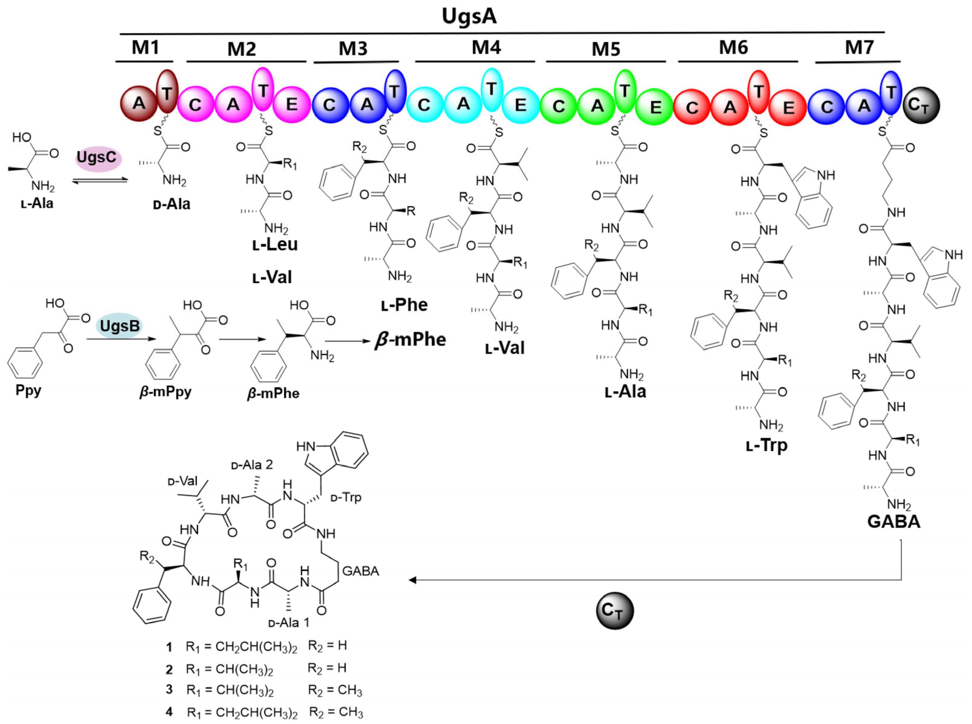 Marinedrugs 23 00219 g005