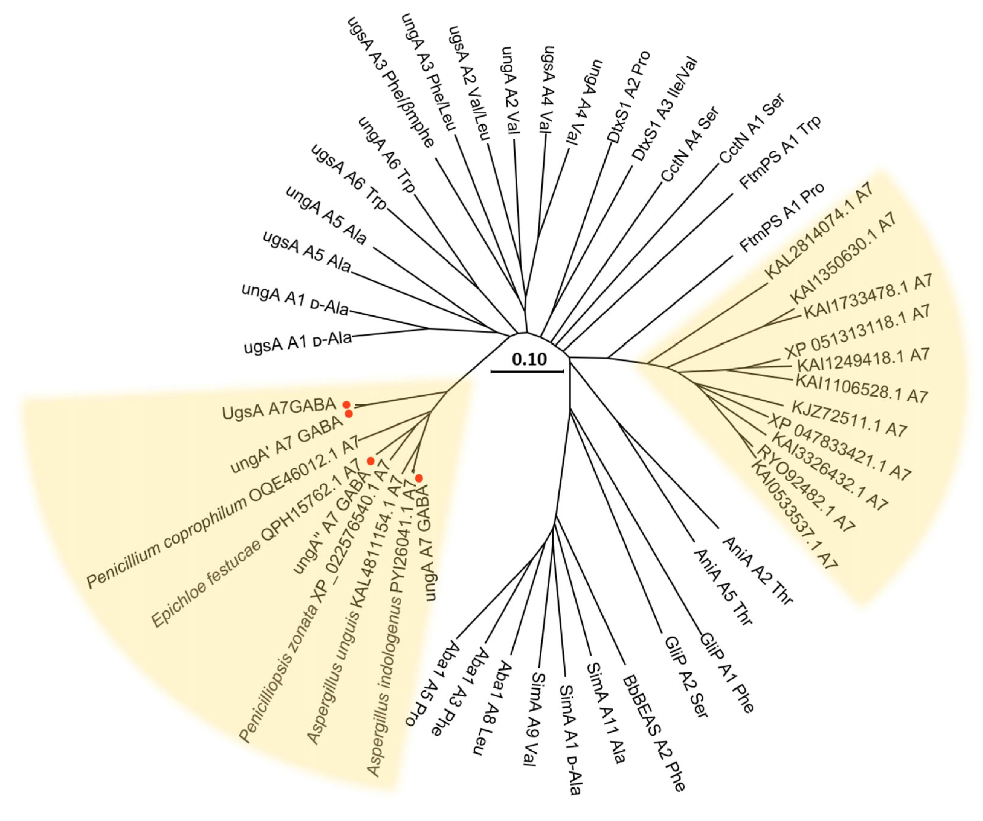 Marinedrugs 23 00219 g006