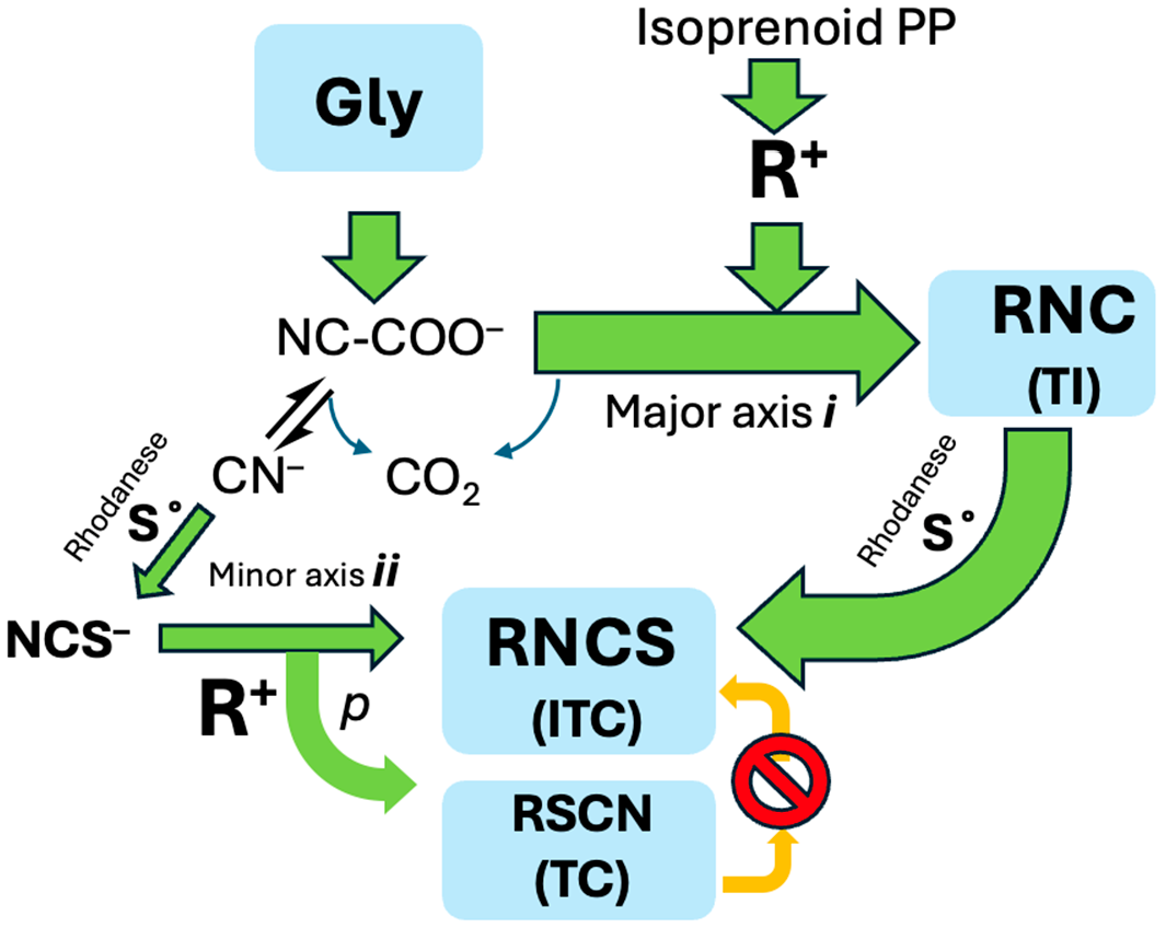 Marinedrugs 23 00220 sch001