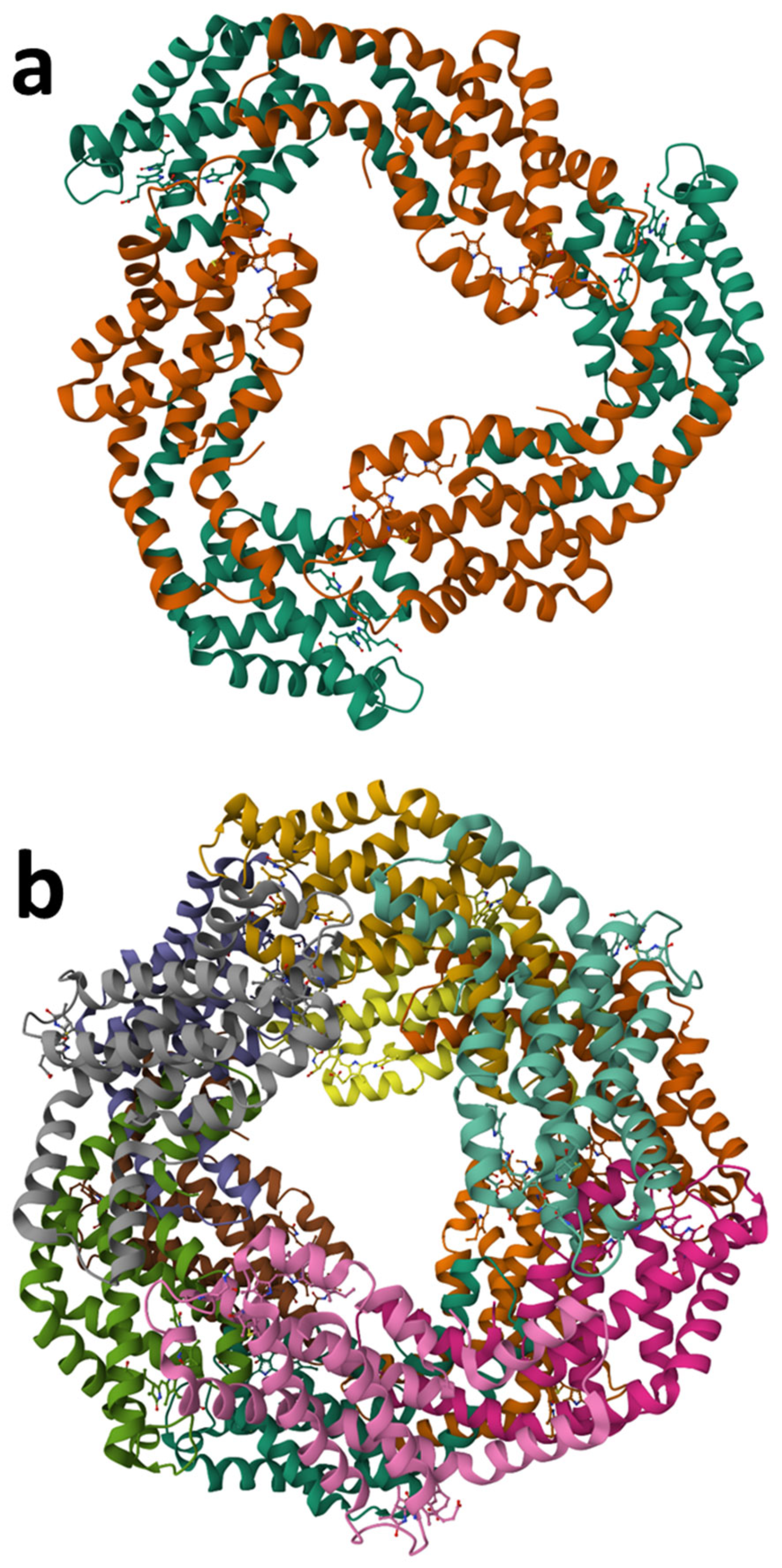 Marinedrugs 23 00222 g005a