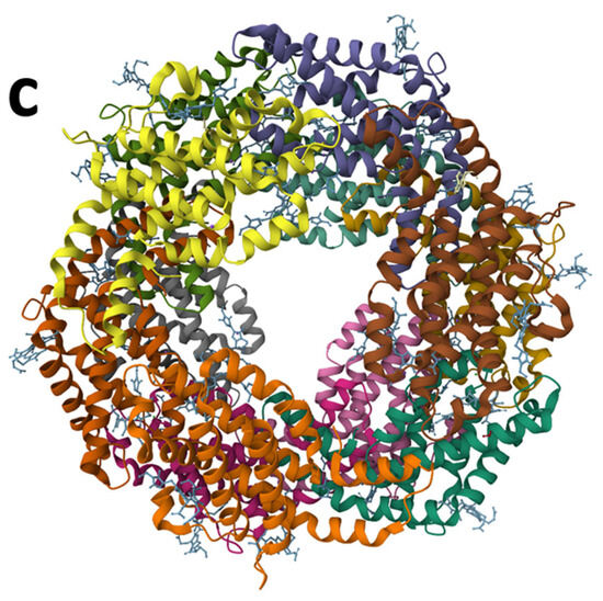 Diversity of Bioactive Compounds in Microalgae: Key Classes