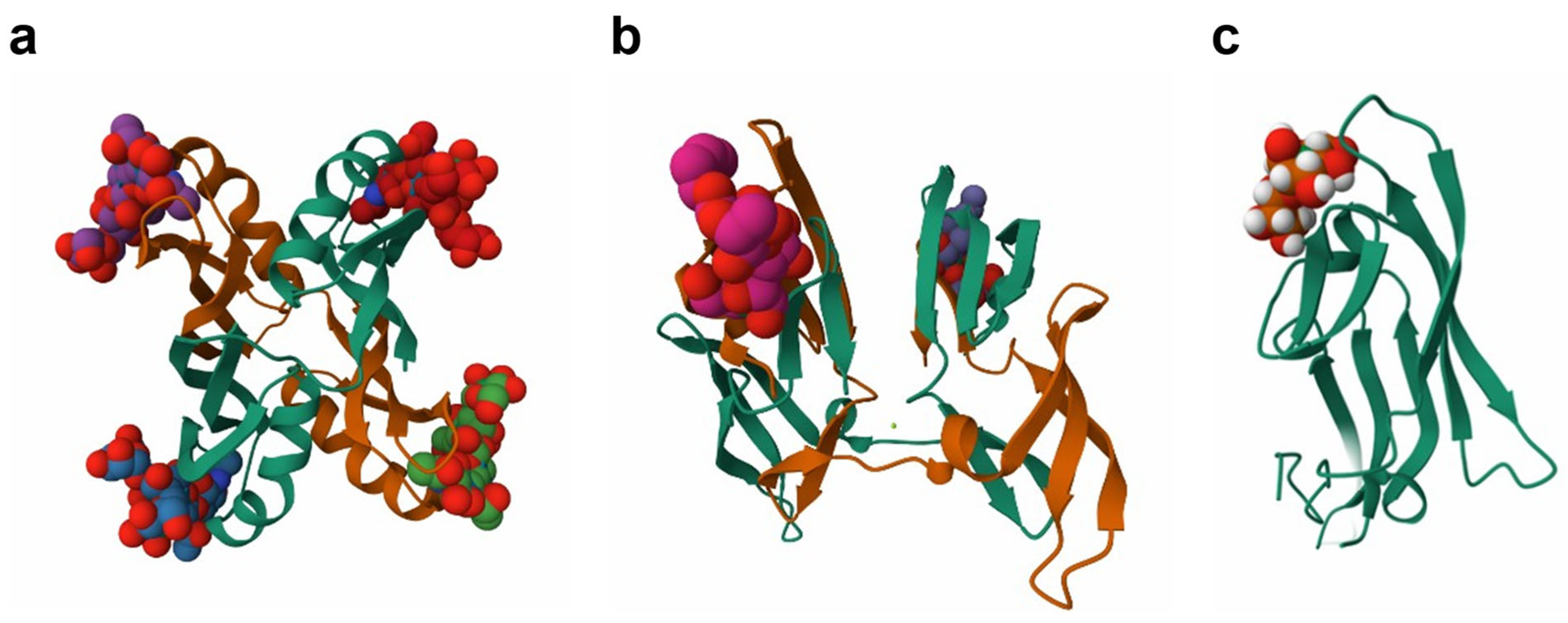 Marinedrugs 23 00222 g008