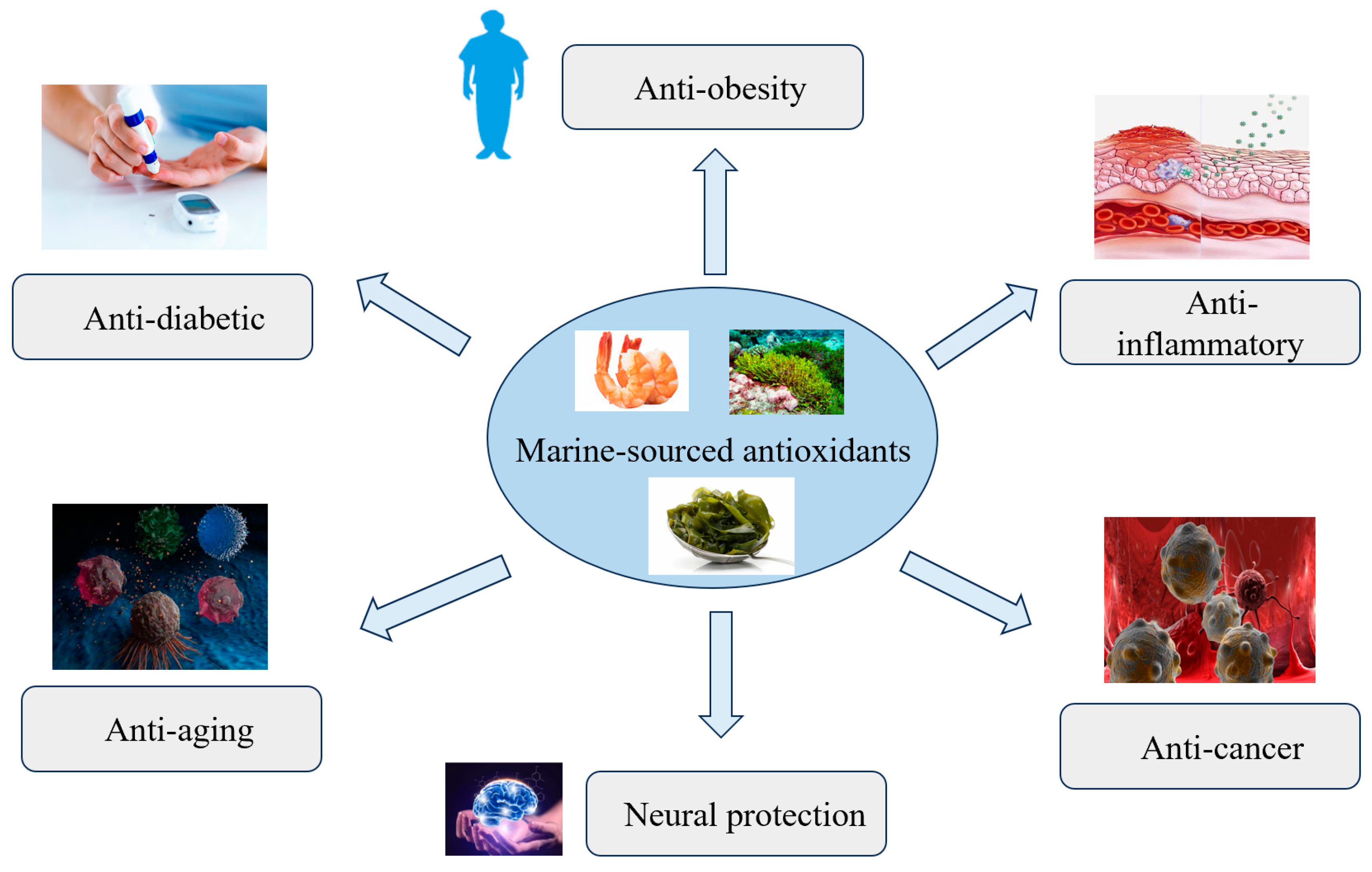 Marinedrugs 23 00223 g004