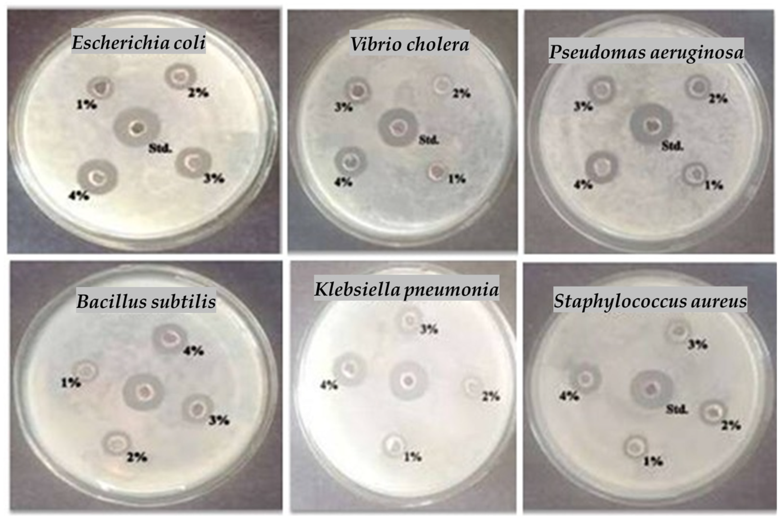 Marinedrugs 23 00224 g005