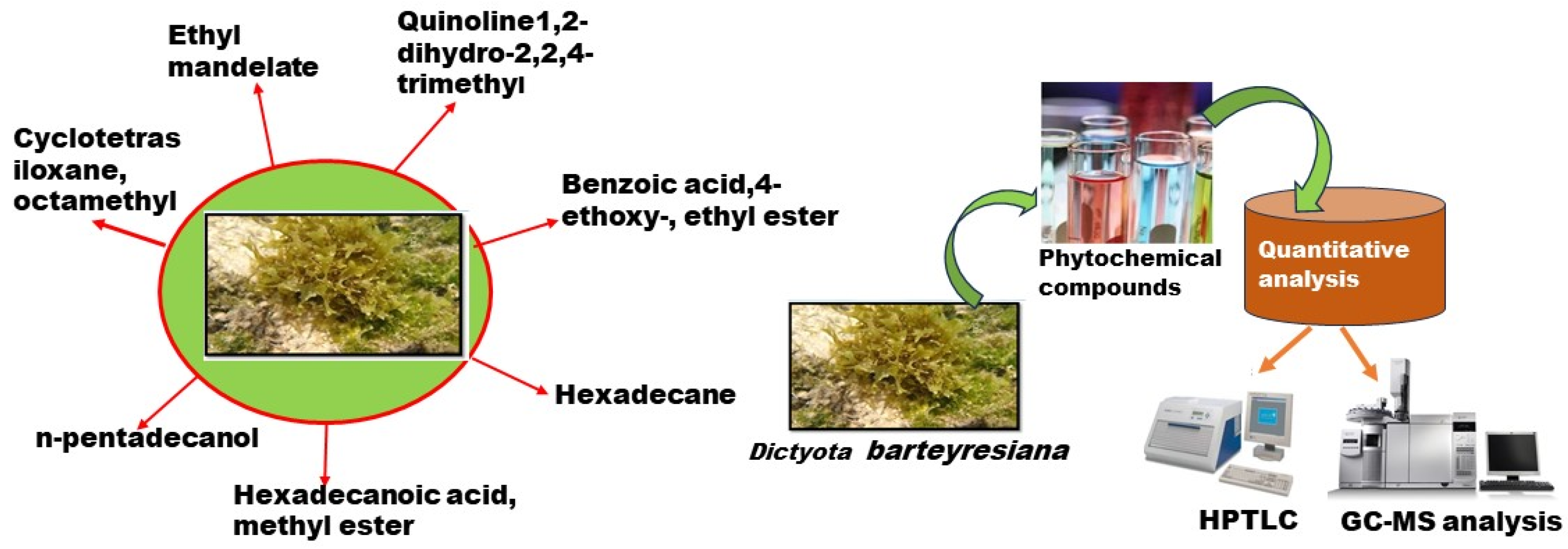 Marinedrugs 23 00224 g006