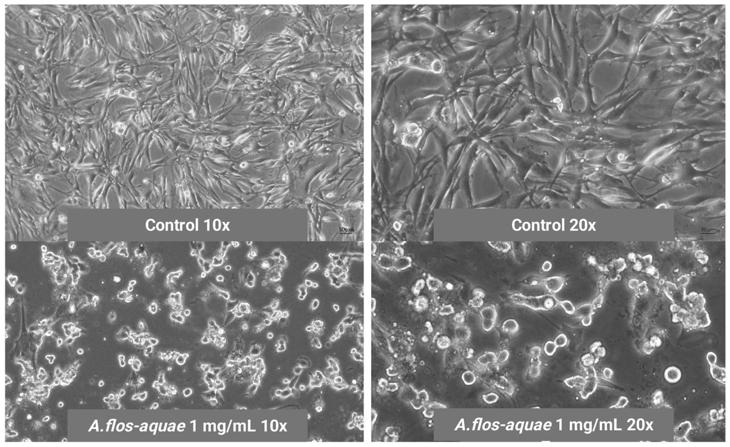 Marinedrugs 23 00225 g003