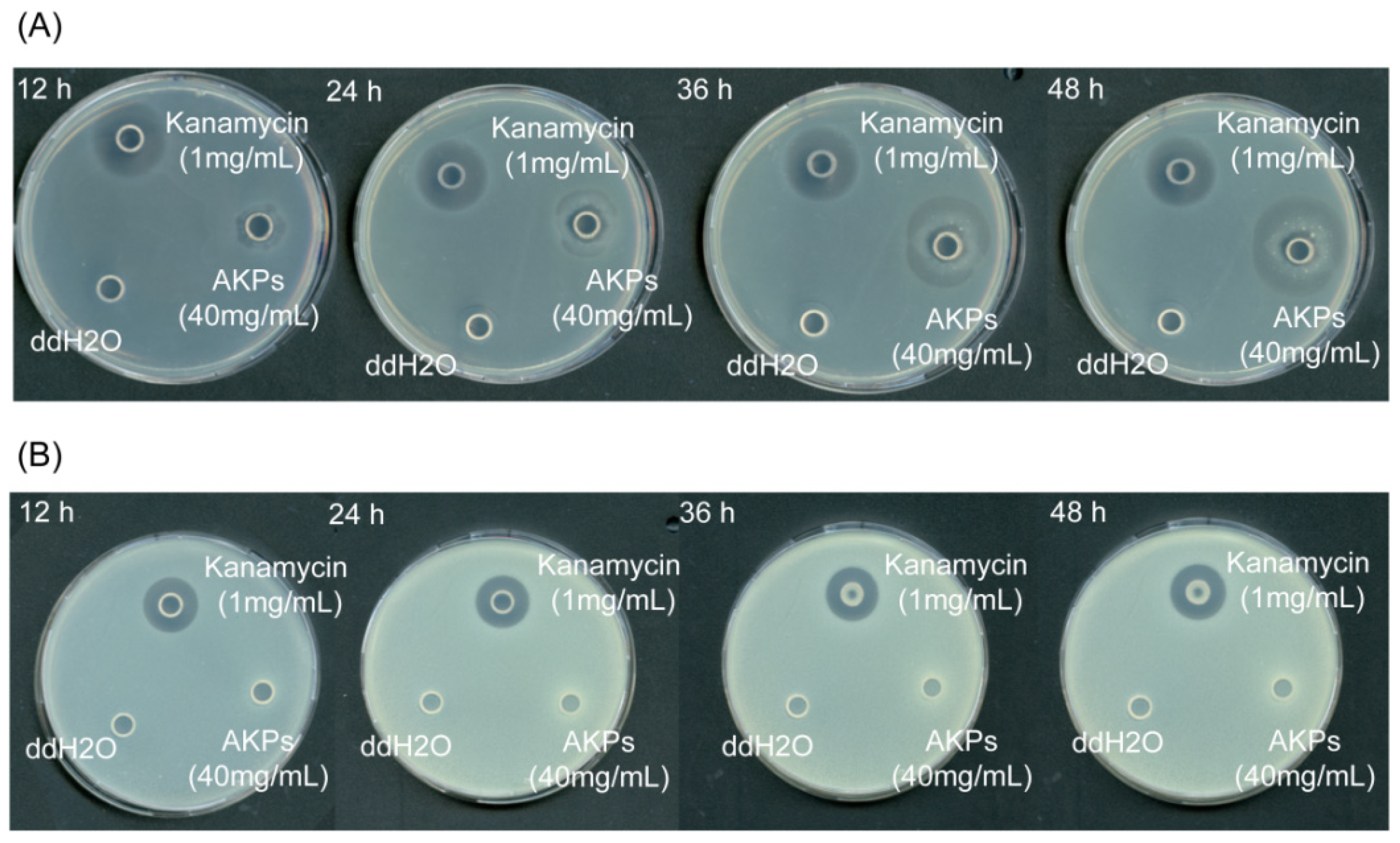 Marinedrugs 23 00226 g008