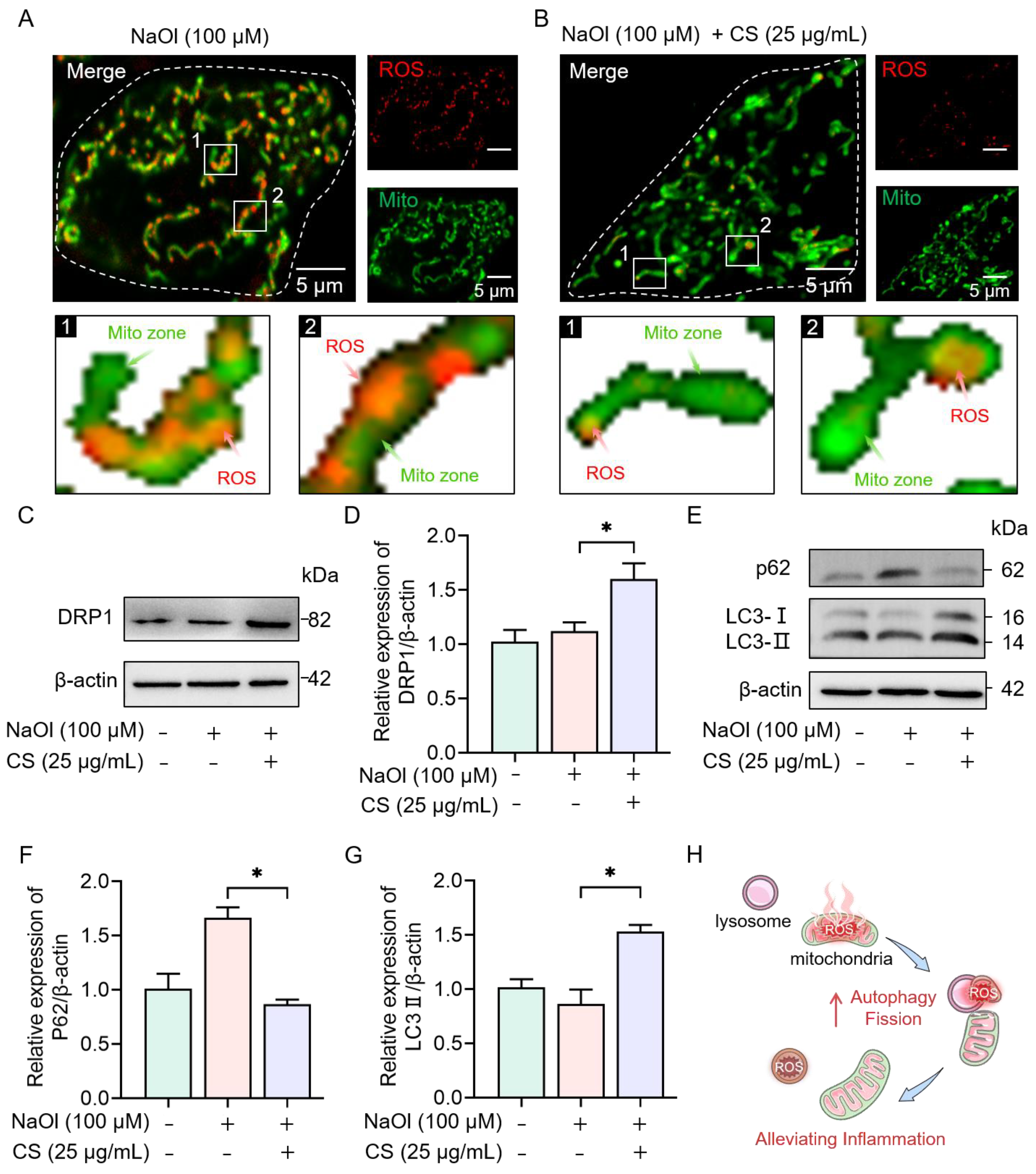 Marinedrugs 23 00228 g005
