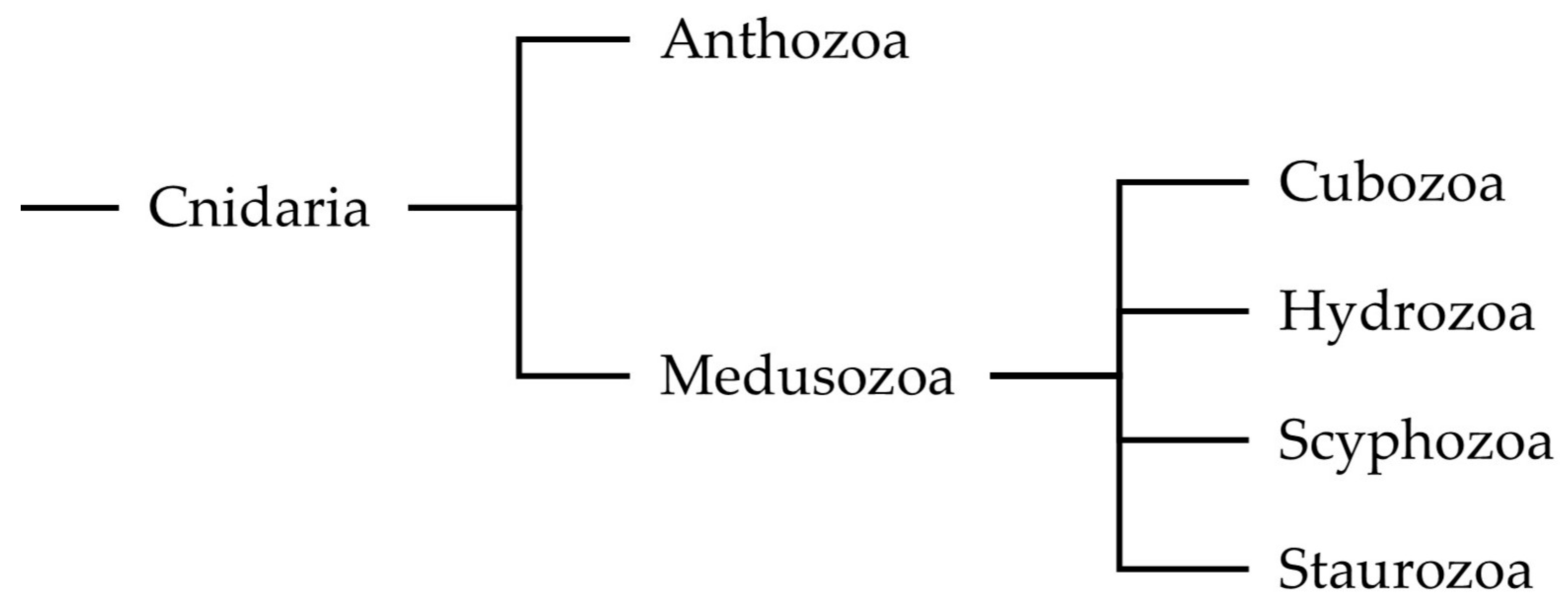 Marinedrugs 23 00229 g001 Marinedrugs 23 00229 g001