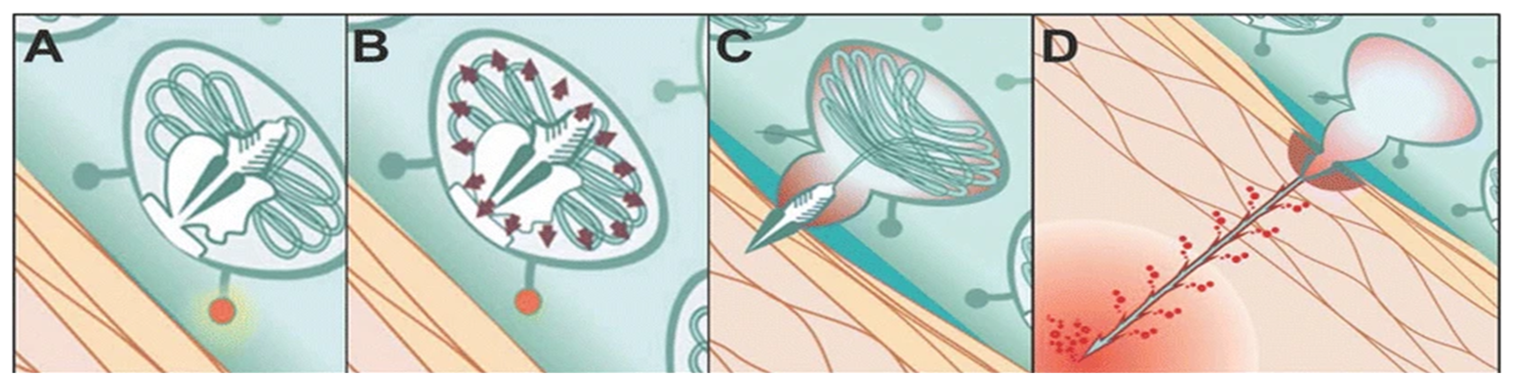 Marinedrugs 23 00231 g001 Marinedrugs 23 00231 g001