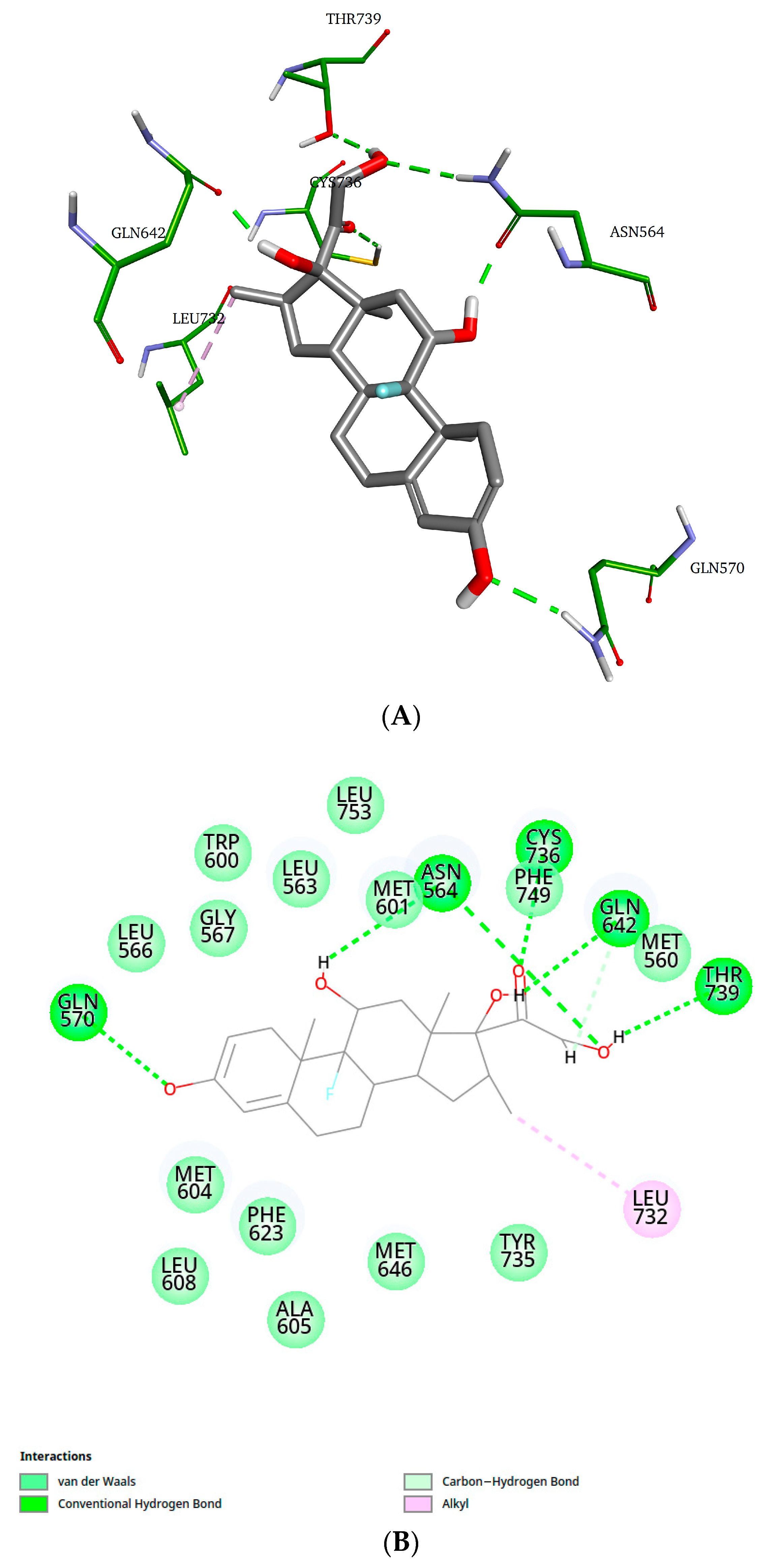 Marinedrugs 23 00232 g007