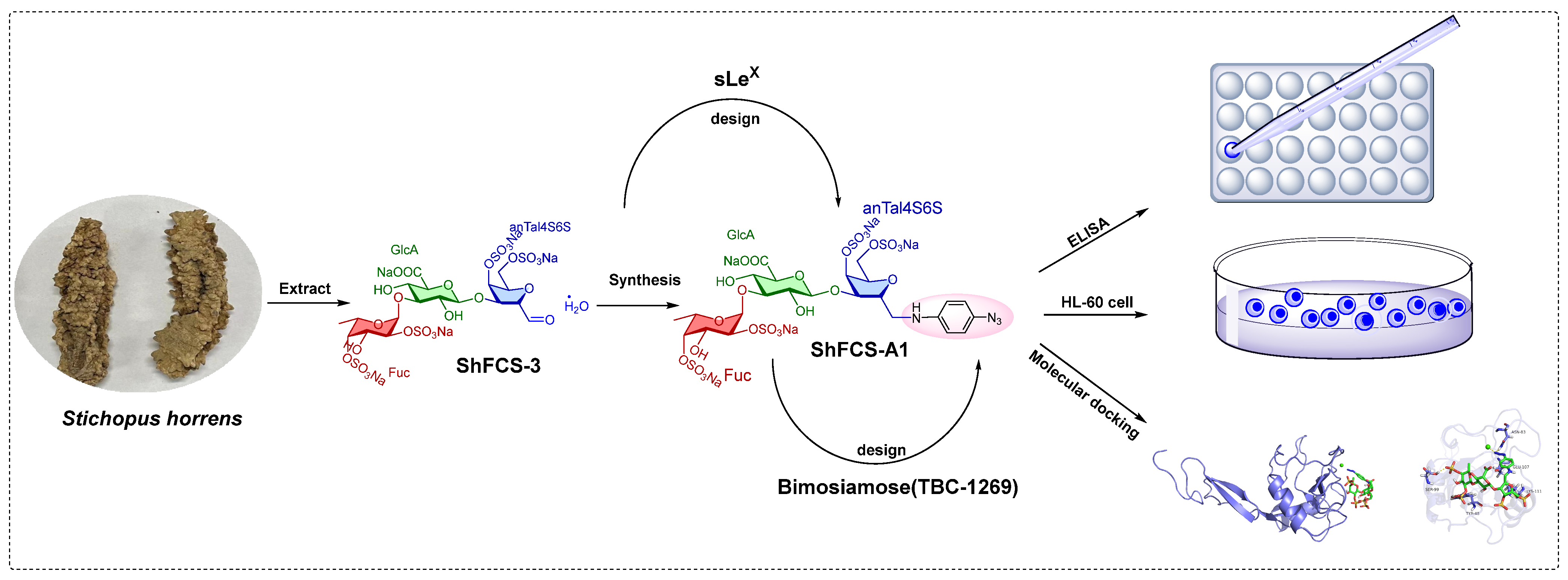 Marinedrugs 23 00236 g007