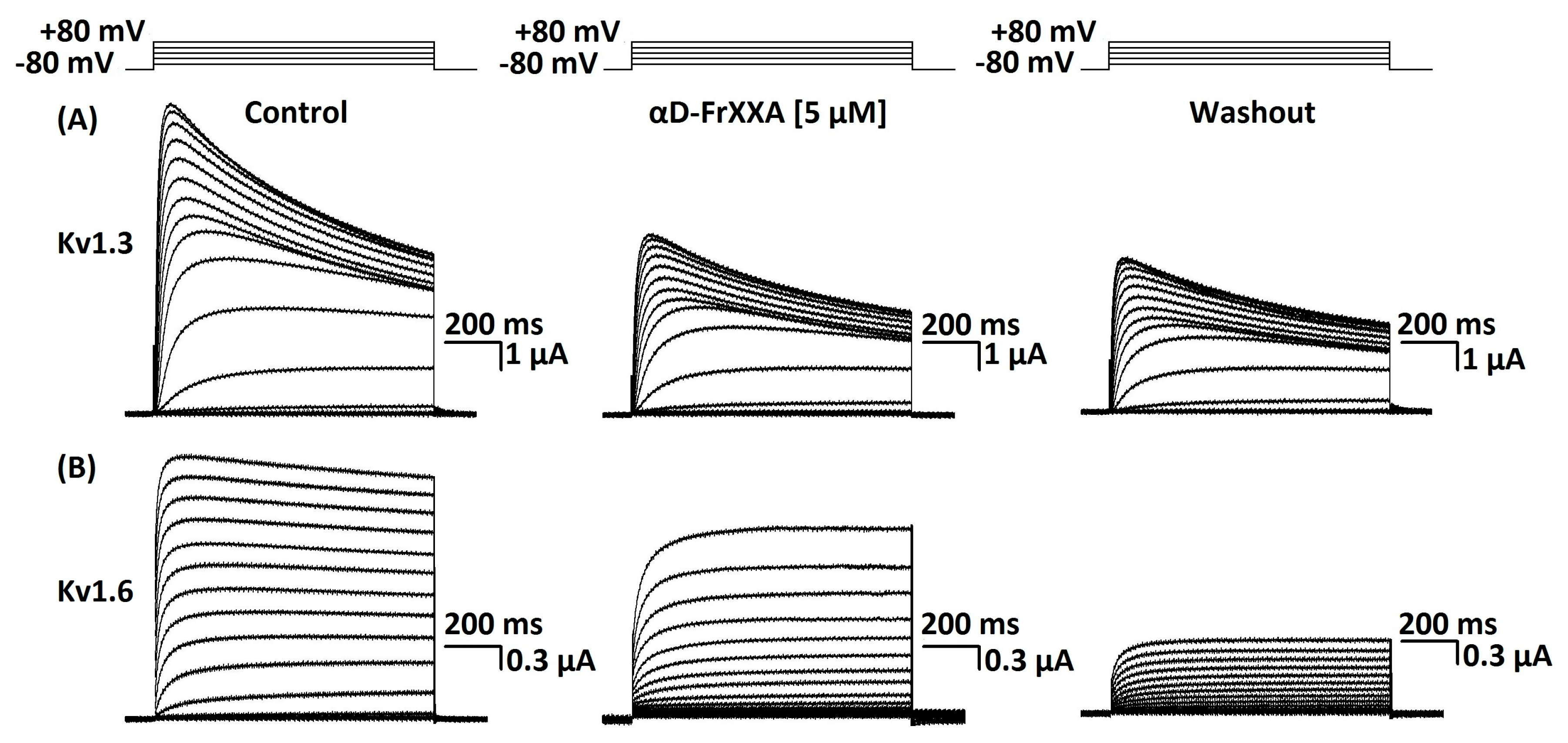 Marinedrugs 23 00237 g004