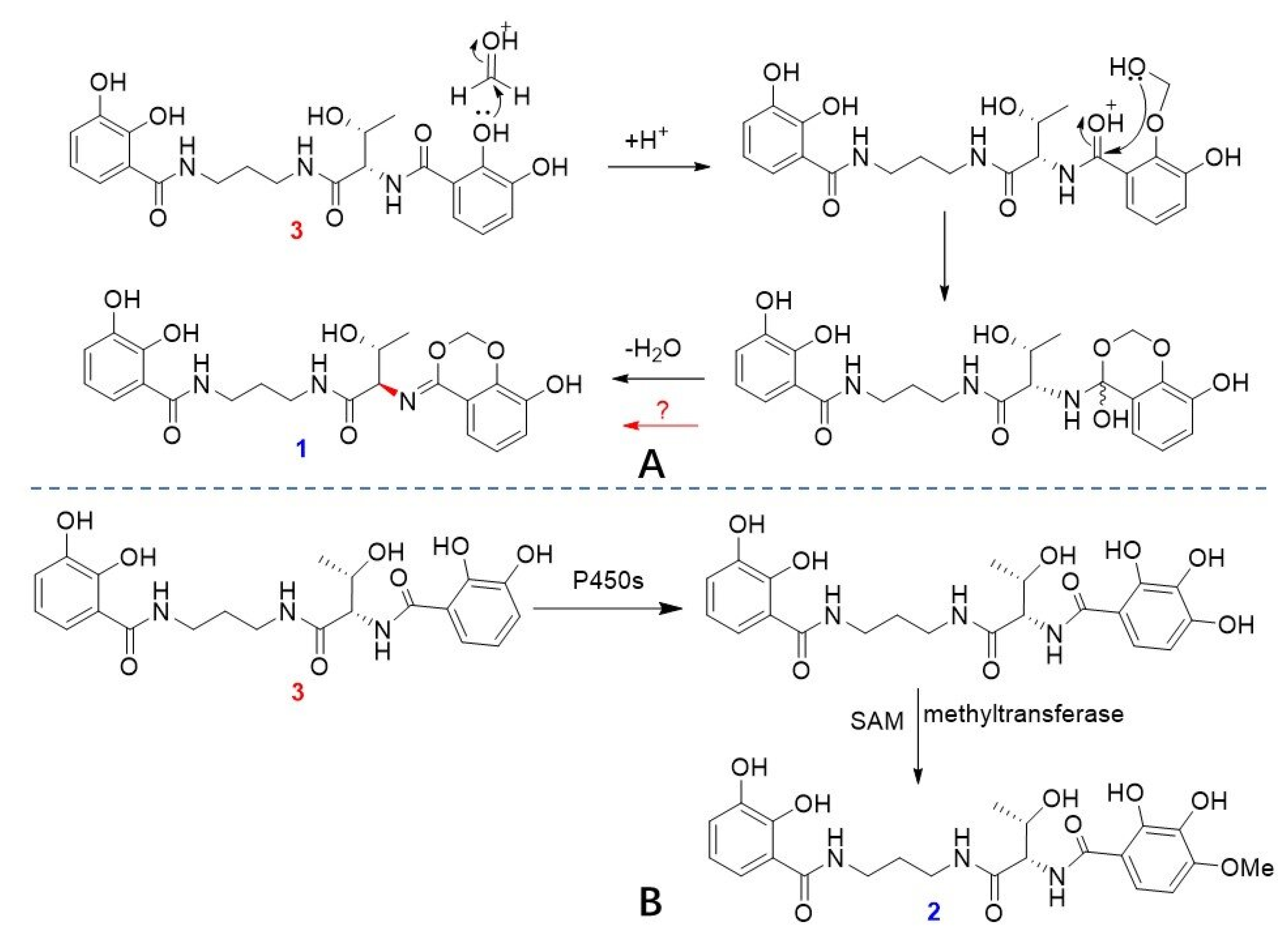 Marinedrugs 23 00241 sch001