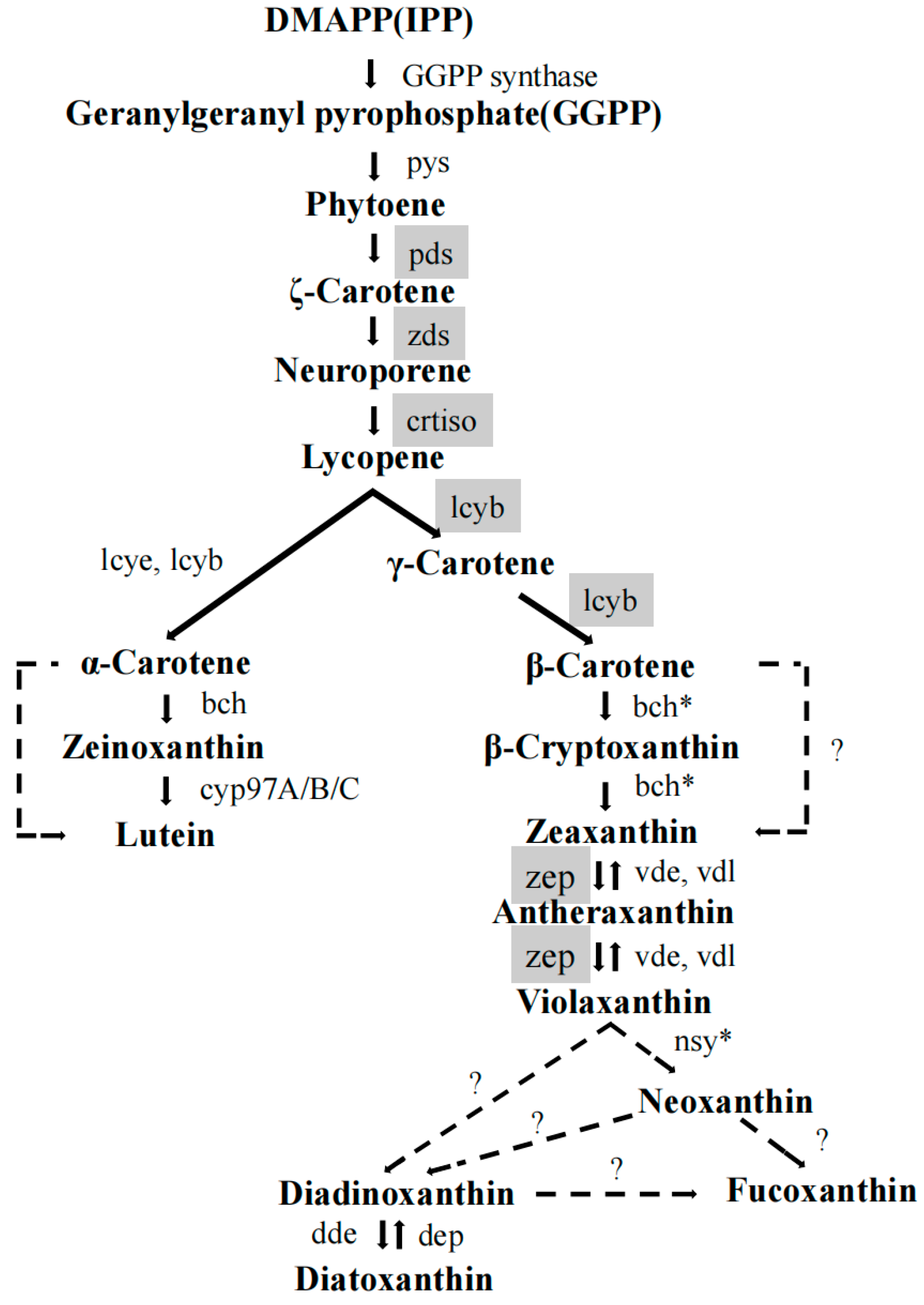 Marinedrugs 23 00244 g005