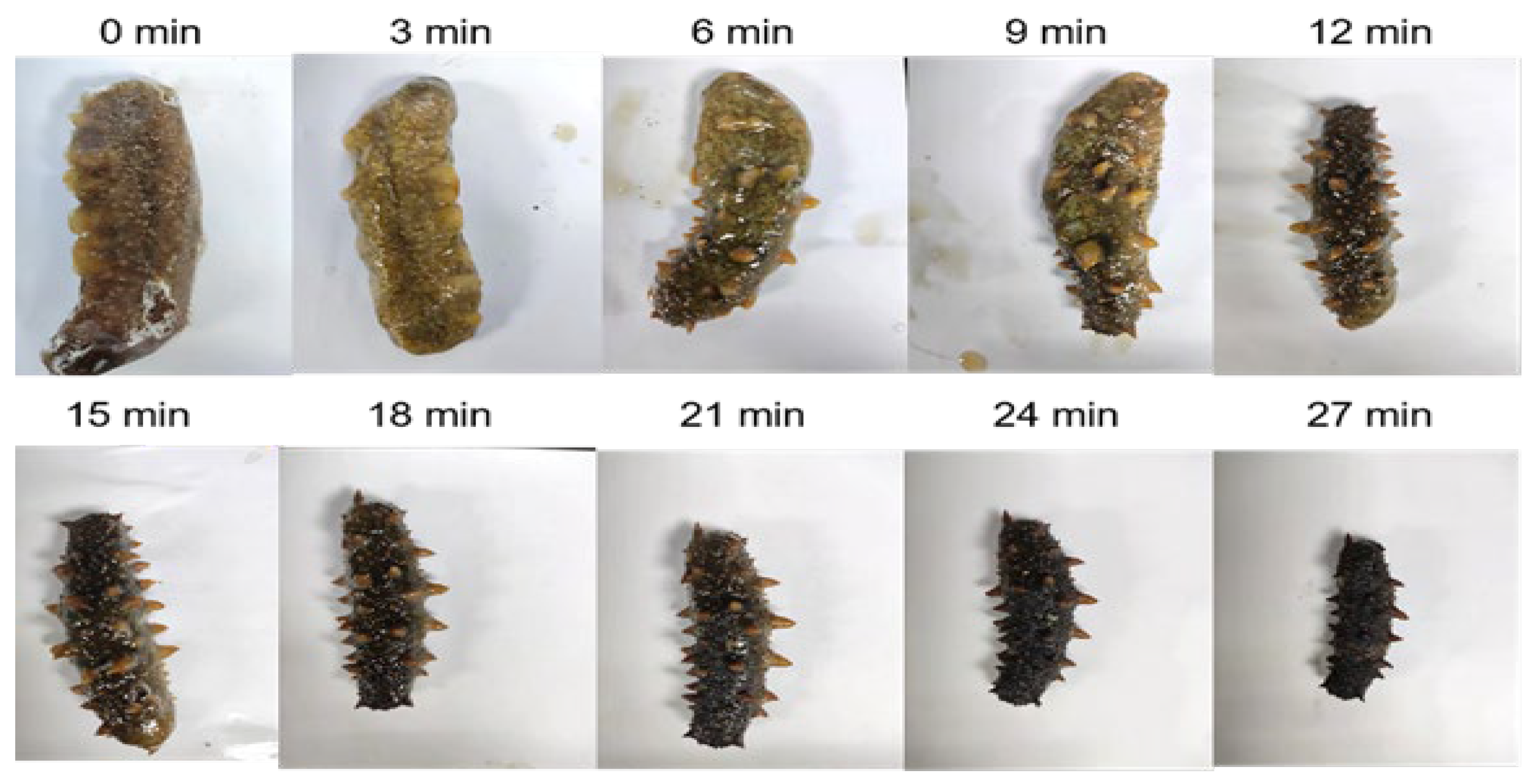 Marinedrugs 23 00249 g003