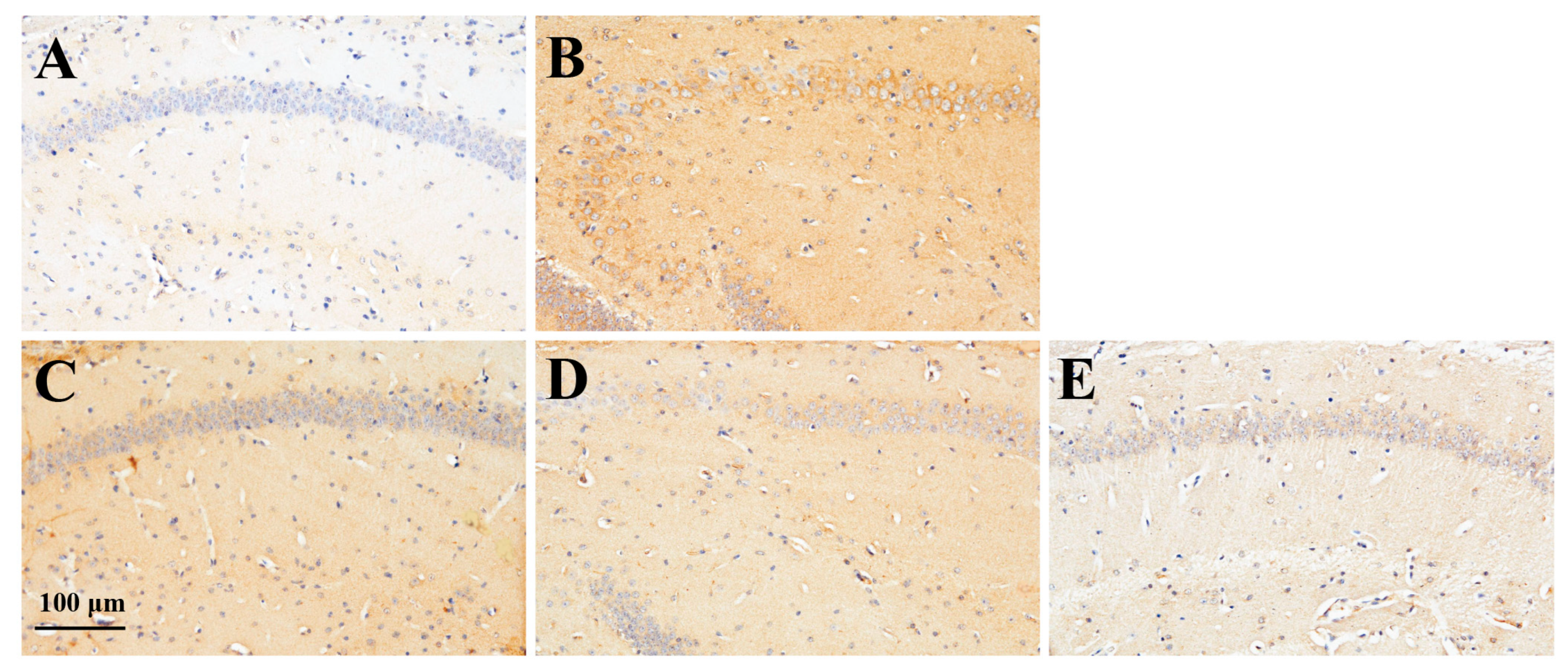 Marinedrugs 23 00250 g006