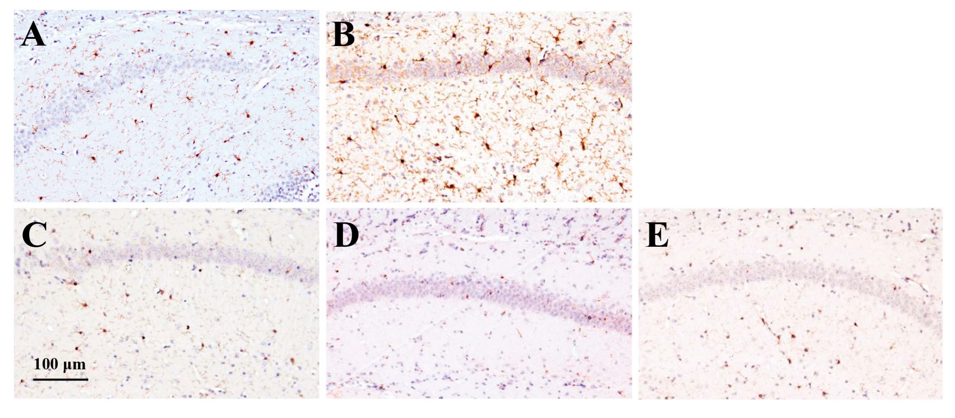 Marinedrugs 23 00250 g008