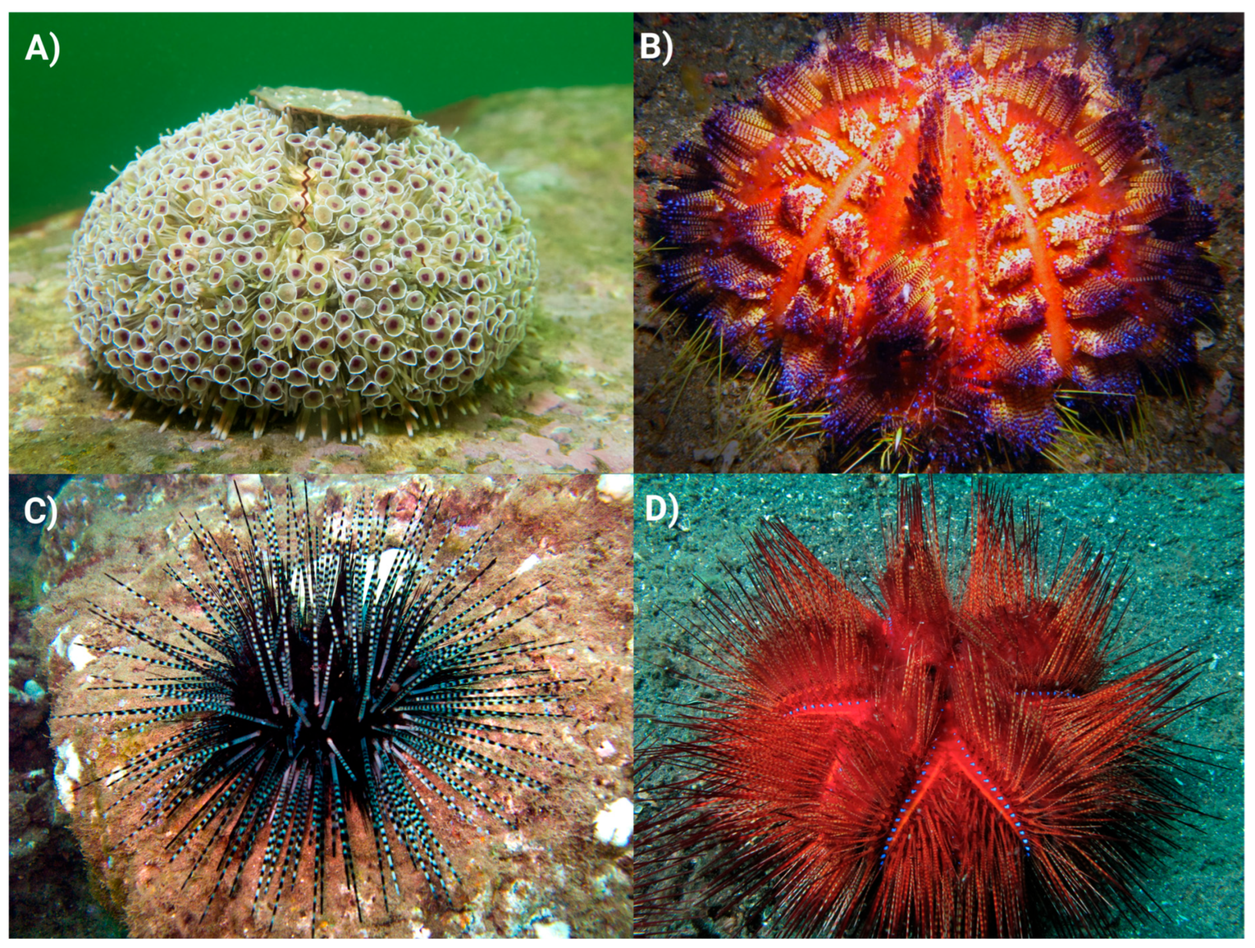 Marinedrugs 23 00253 g002