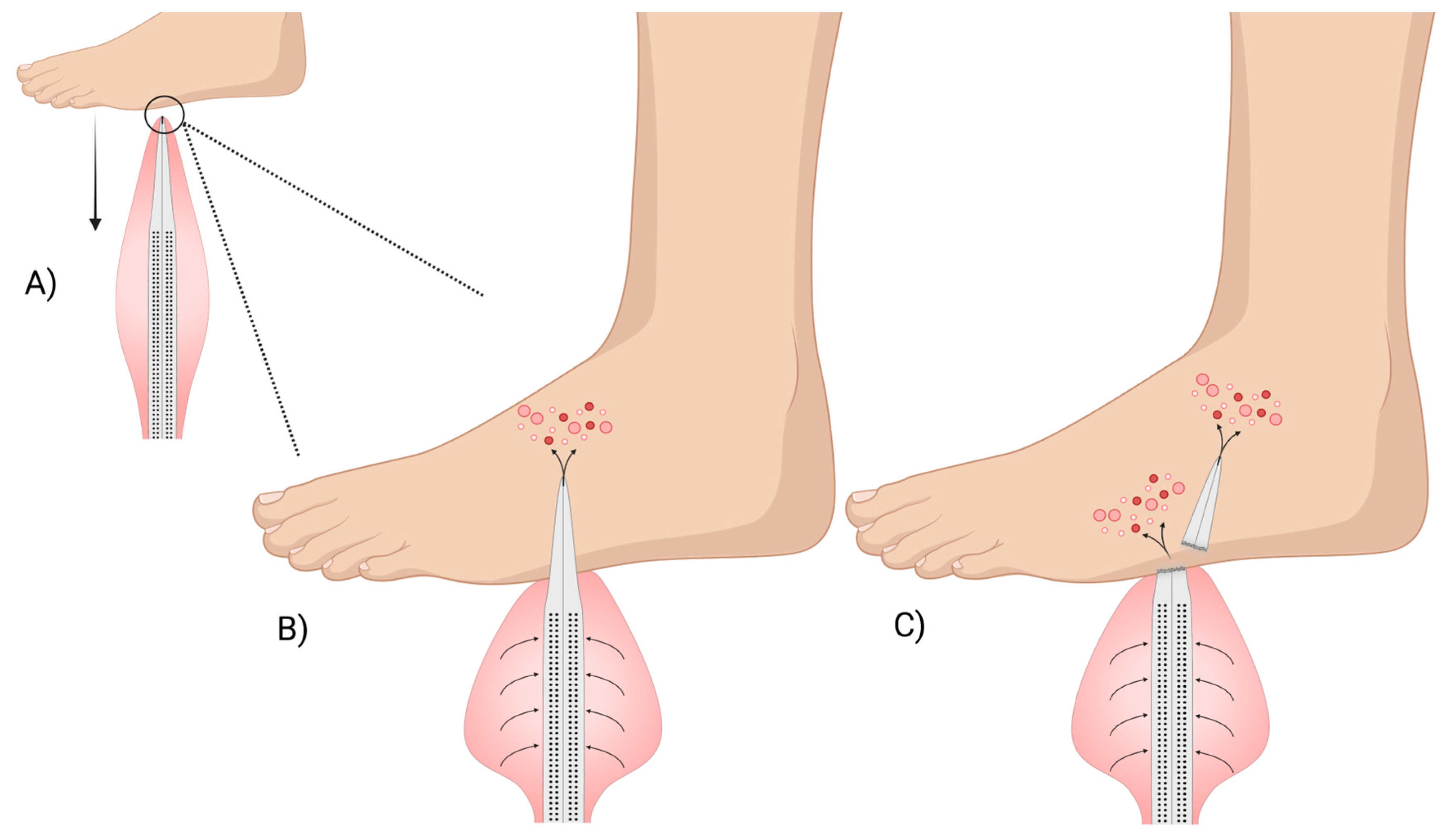 Marinedrugs 23 00253 g004