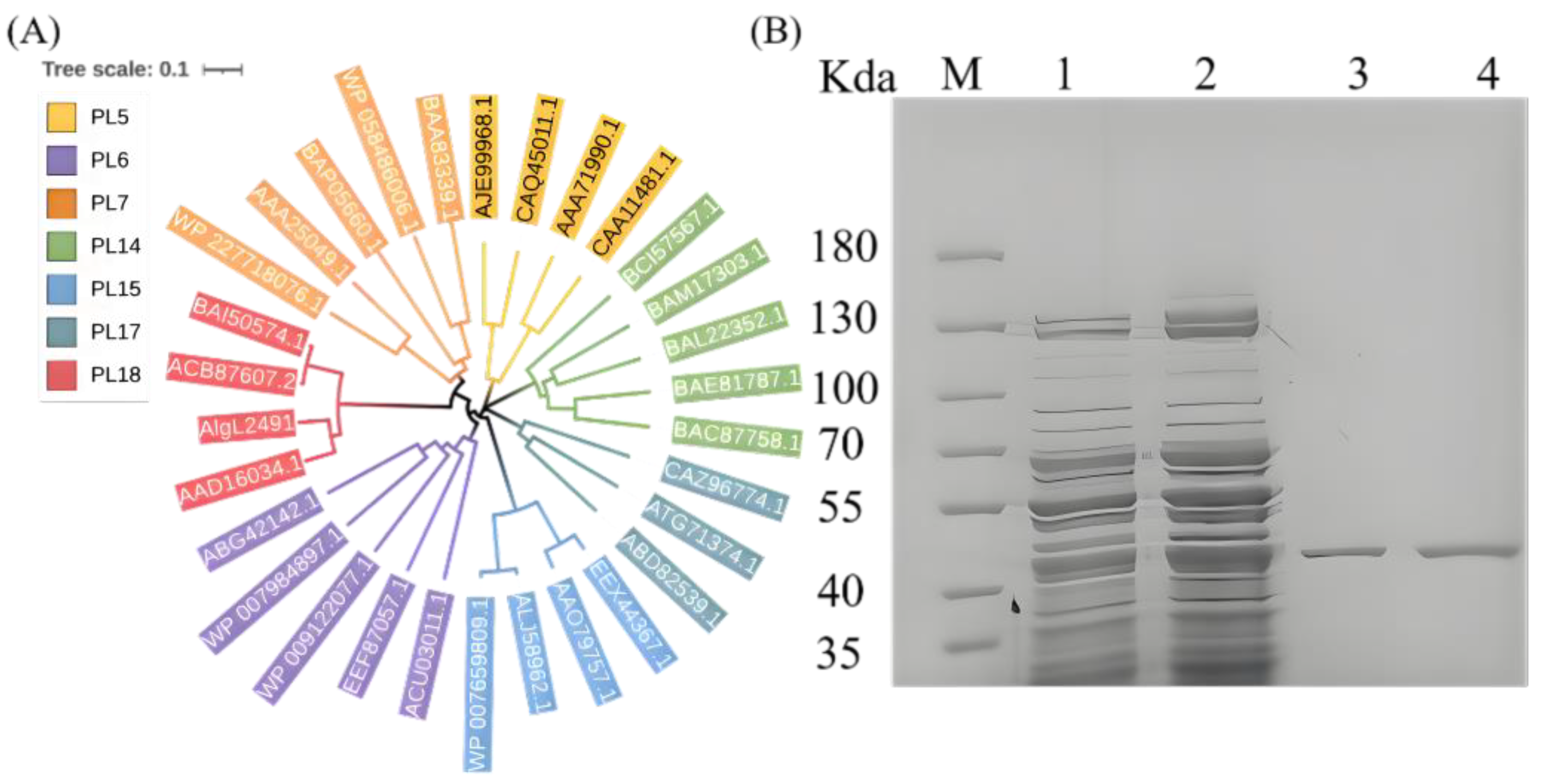 Marinedrugs 23 00254 g002