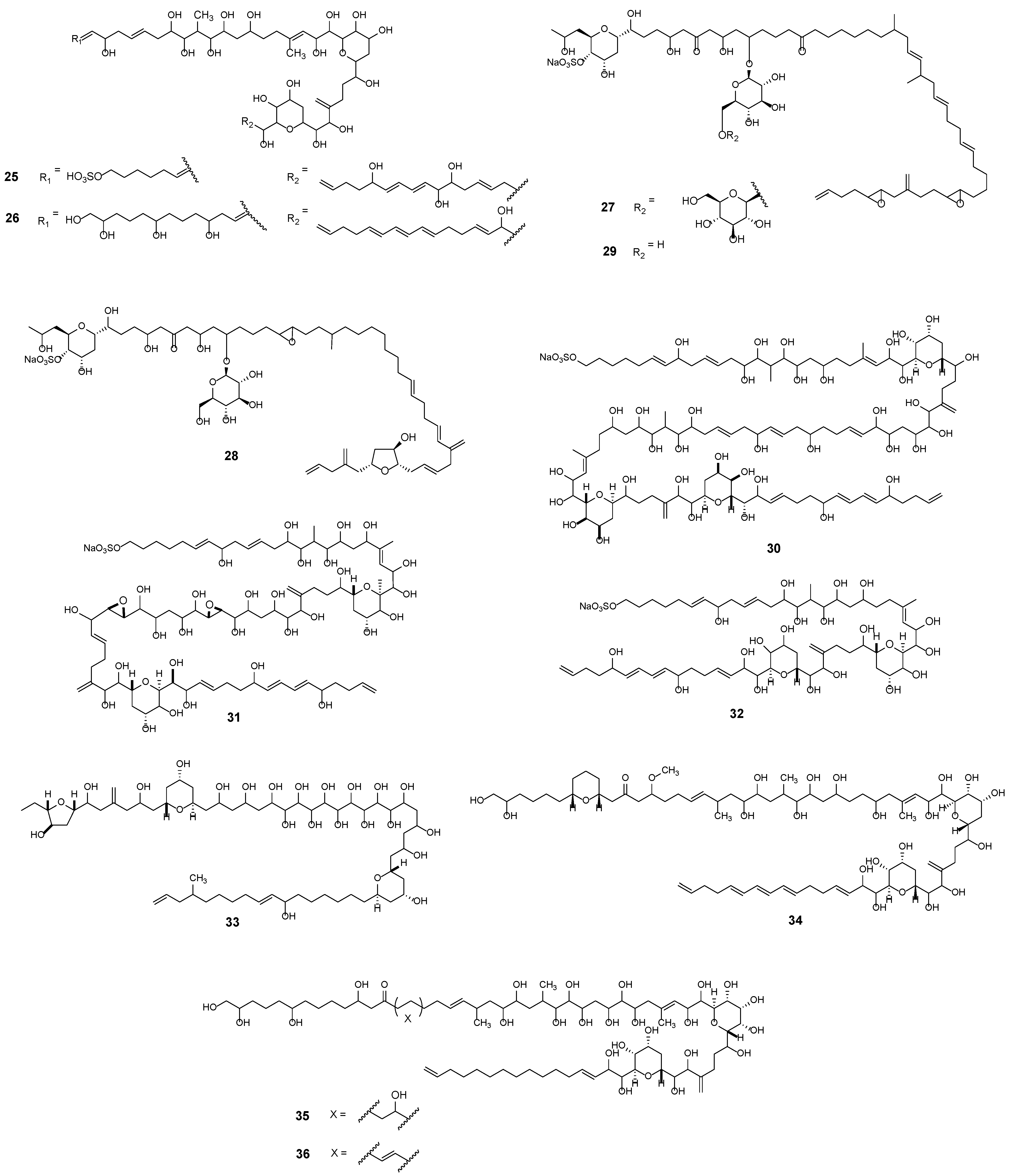 Marinedrugs 23 00255 g004