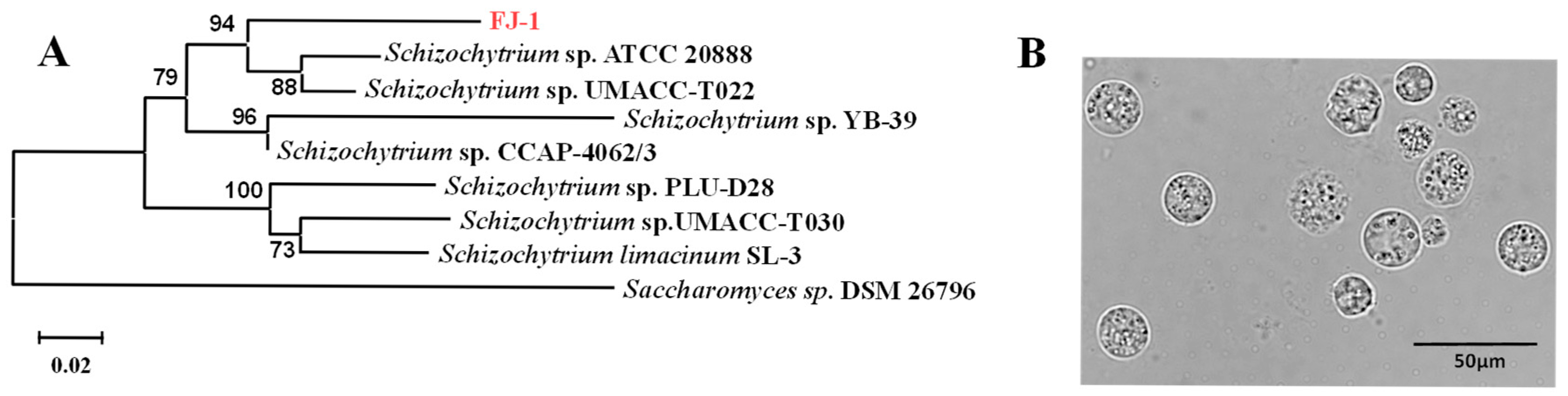 Marinedrugs 23 00260 g001