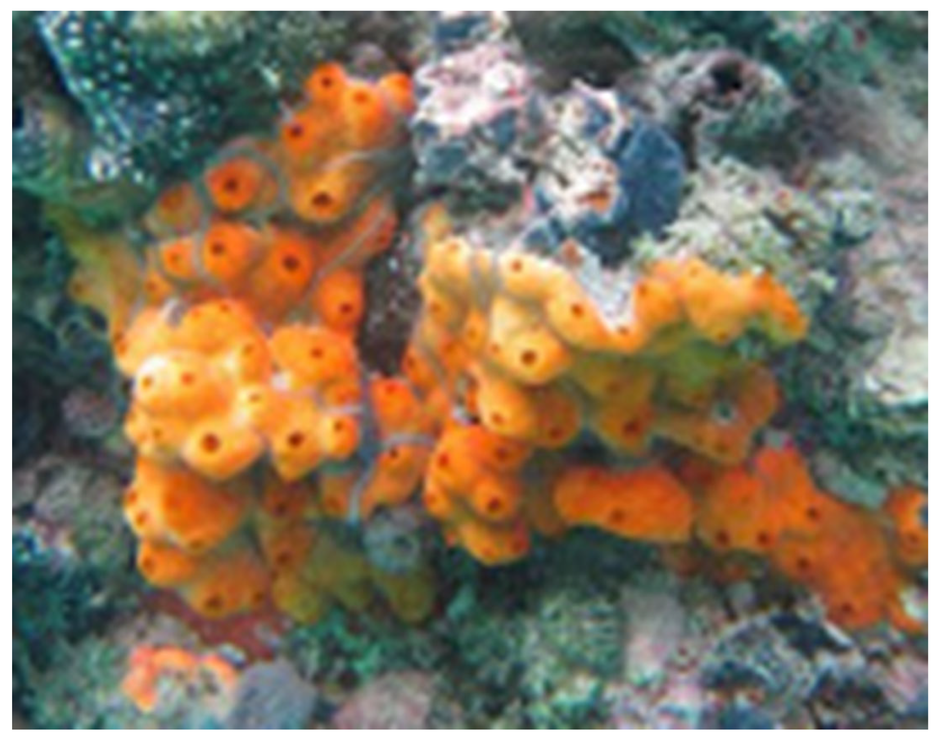 Marinedrugs 23 00262 g010