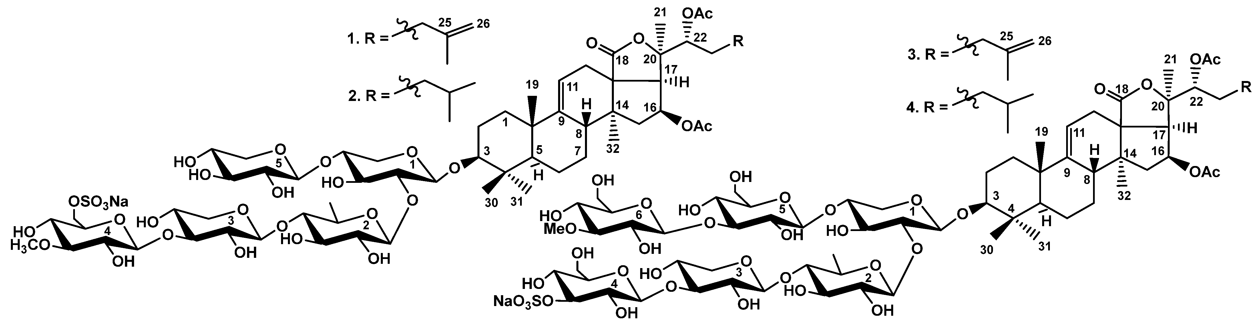 Marinedrugs 23 00265 g001