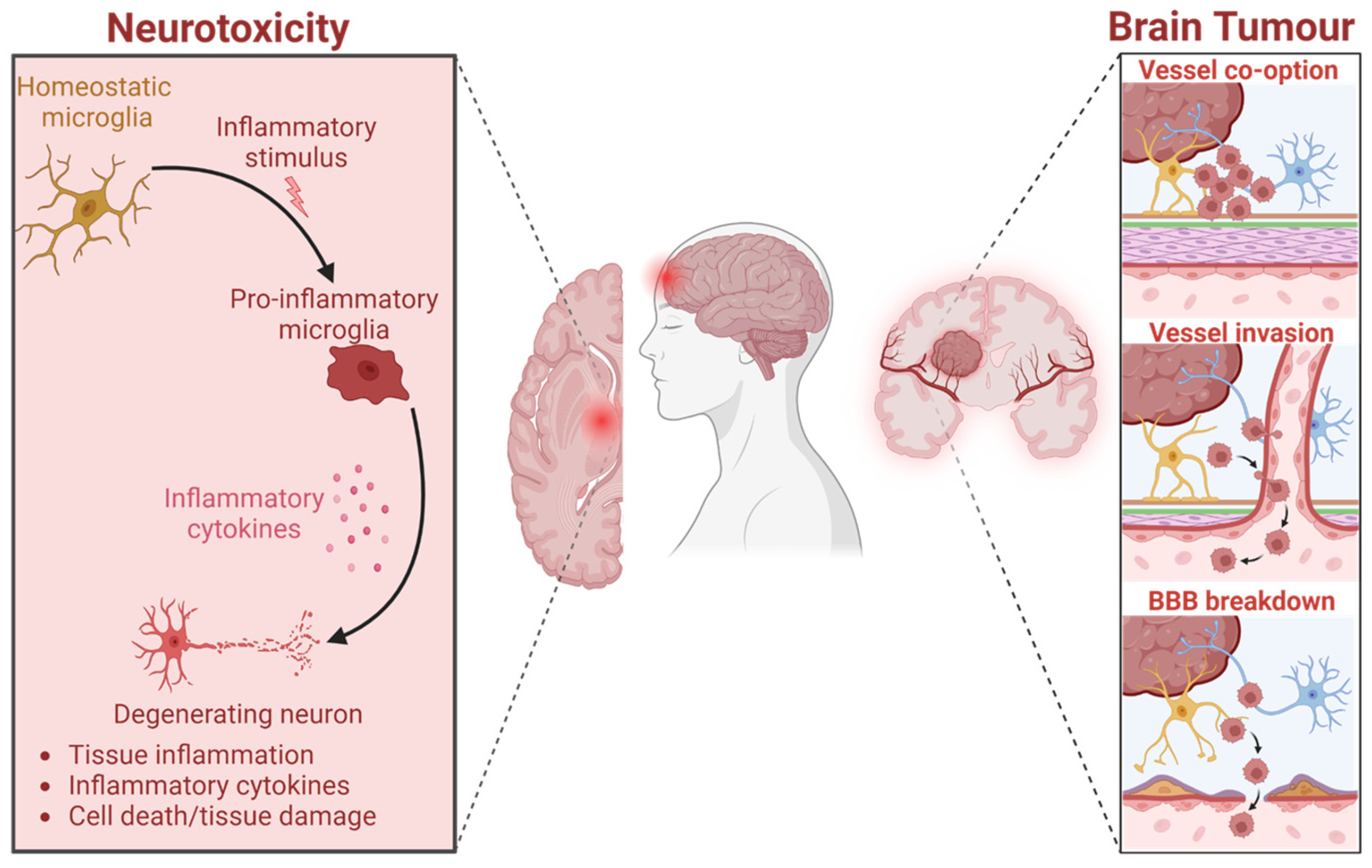 Marinedrugs 23 00268 g001