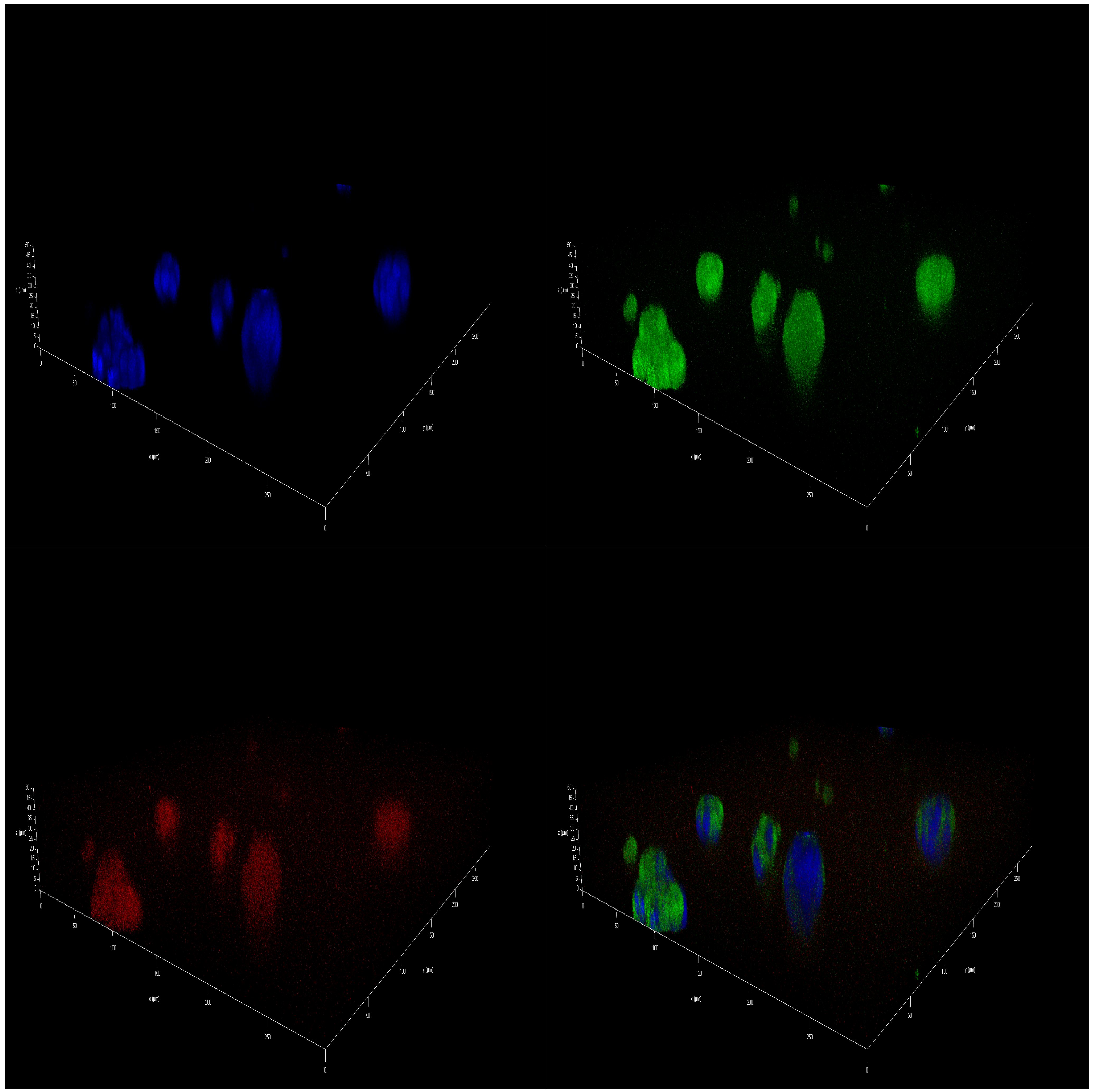 Marinedrugs 23 00268 g004