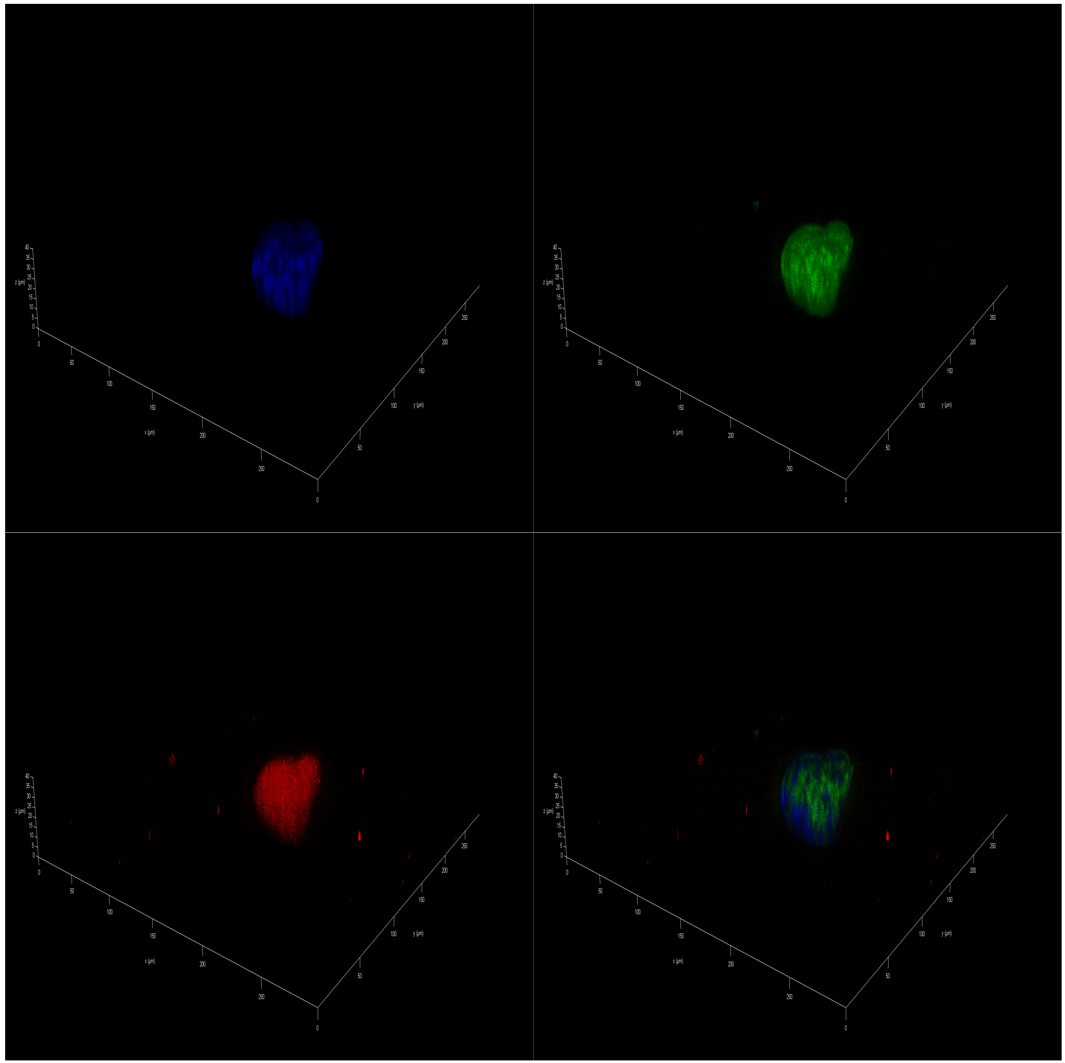 Marinedrugs 23 00268 g006