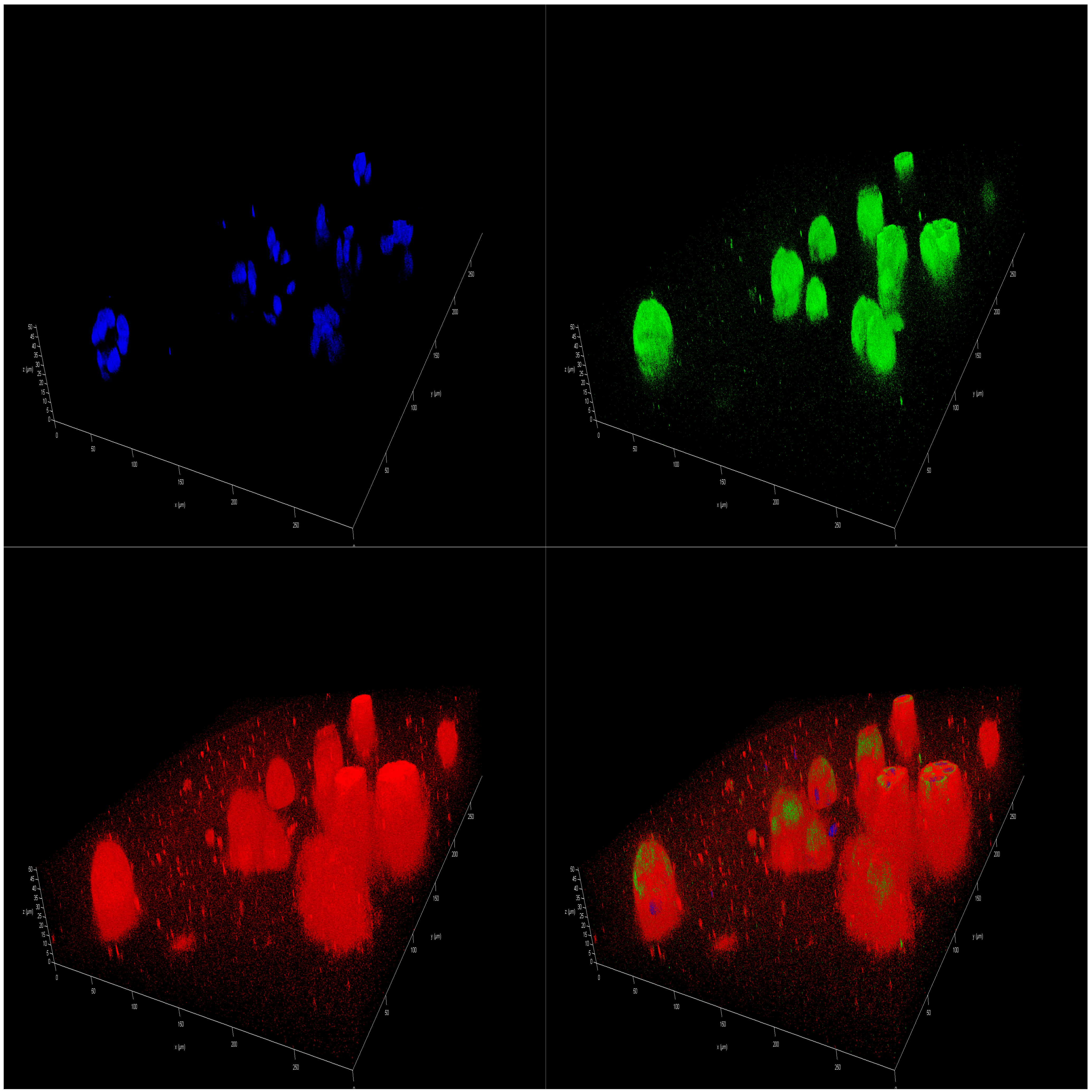 Marinedrugs 23 00268 g009