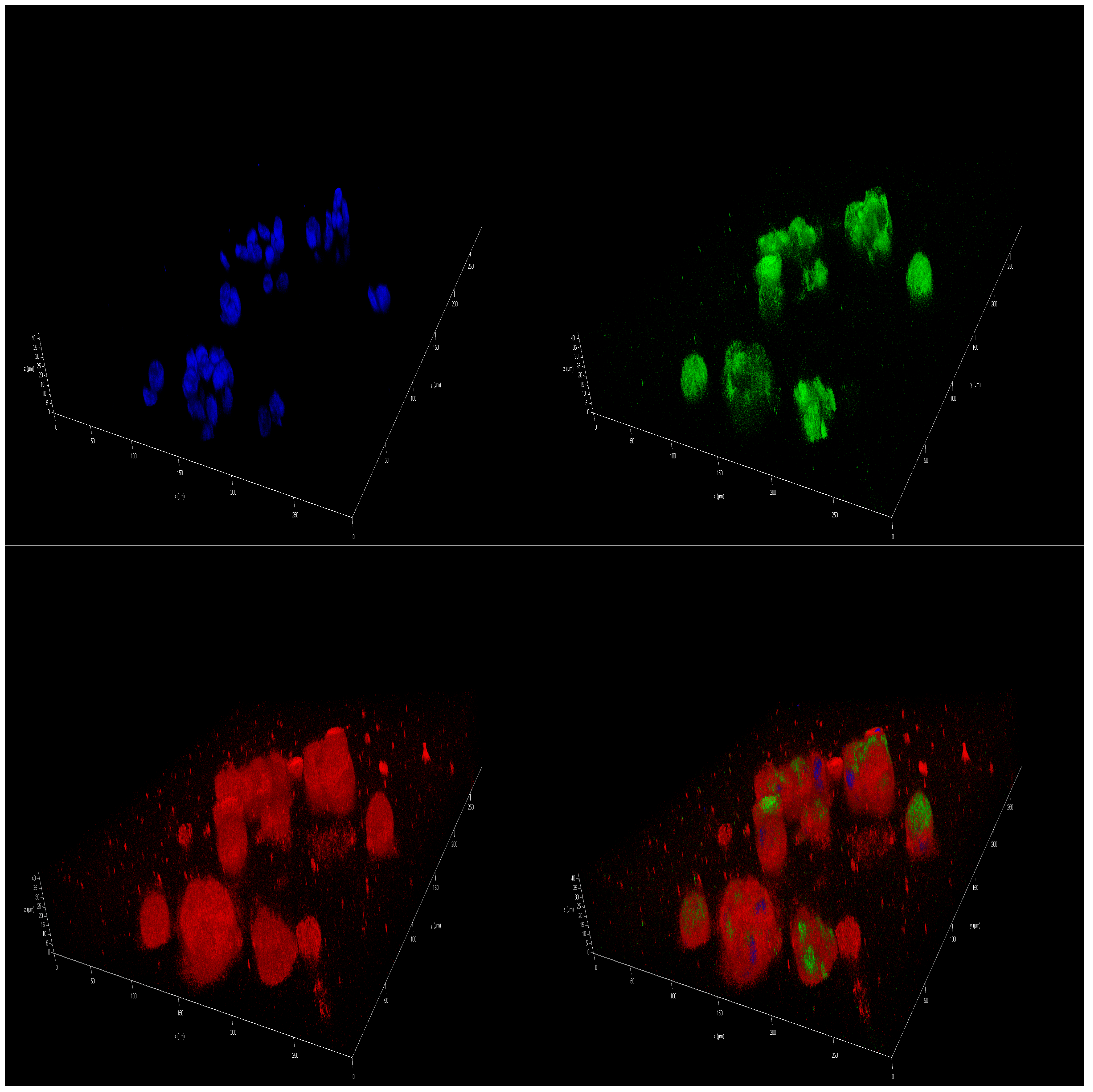 Marinedrugs 23 00268 g010