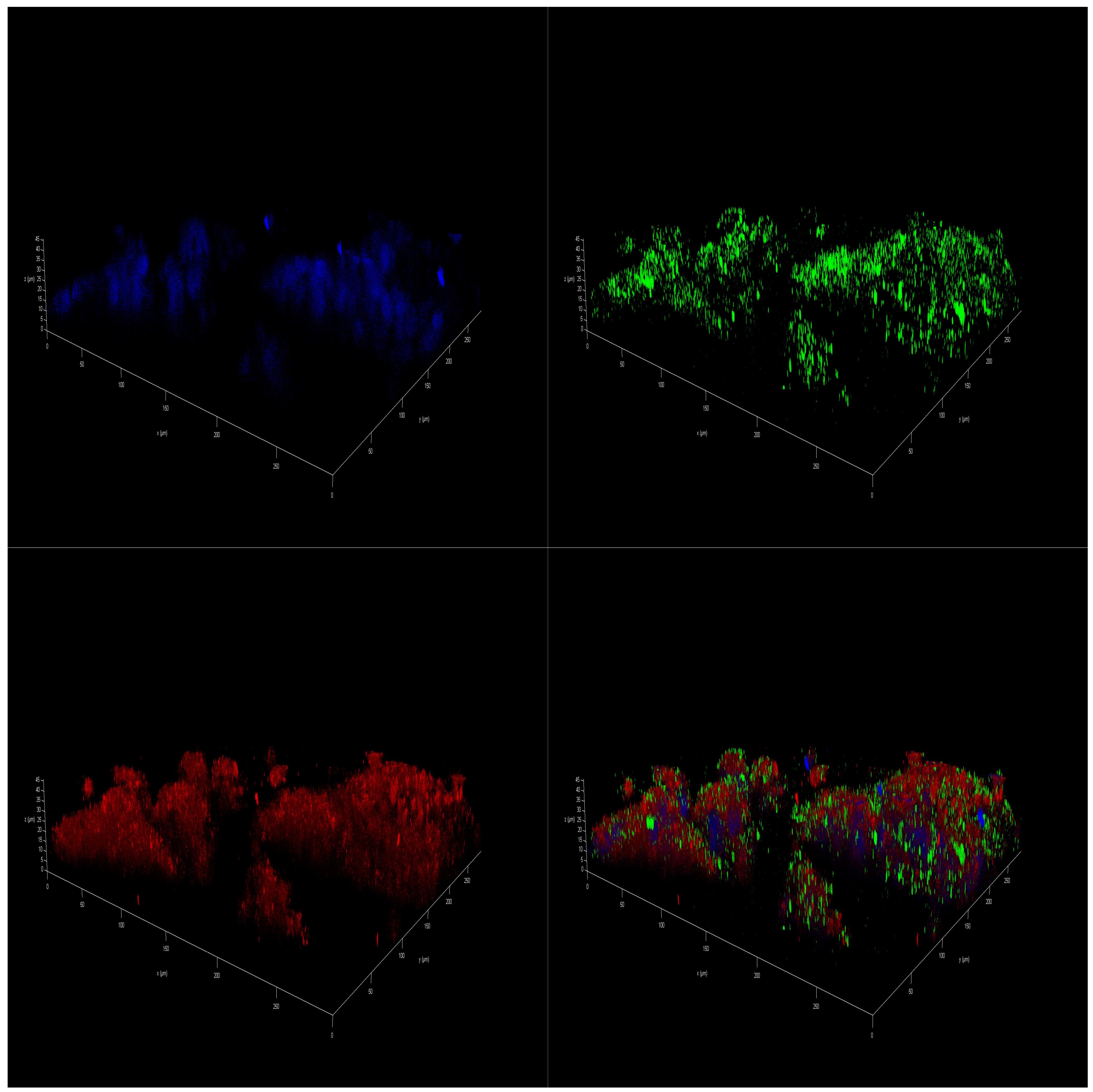 Marinedrugs 23 00268 g012